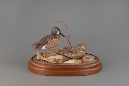 Blue-Winged Teal Pair by Dan Williams