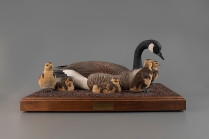 Canada Goose & Goslings by Cindy Lewis & Mark Holland