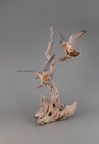 "Trading Places" Kestrels by Mark Holland and Cindy Lewis