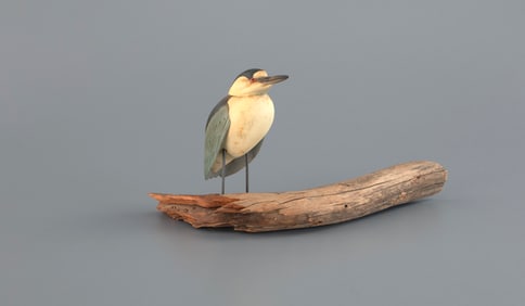 Black-Capped Night Heron by David W. Martinez (1922-1987)