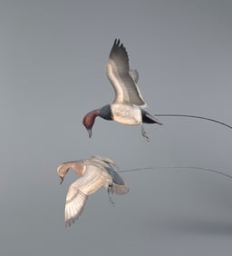 Canvasback Pair by David W. Martinez (1922-1987)