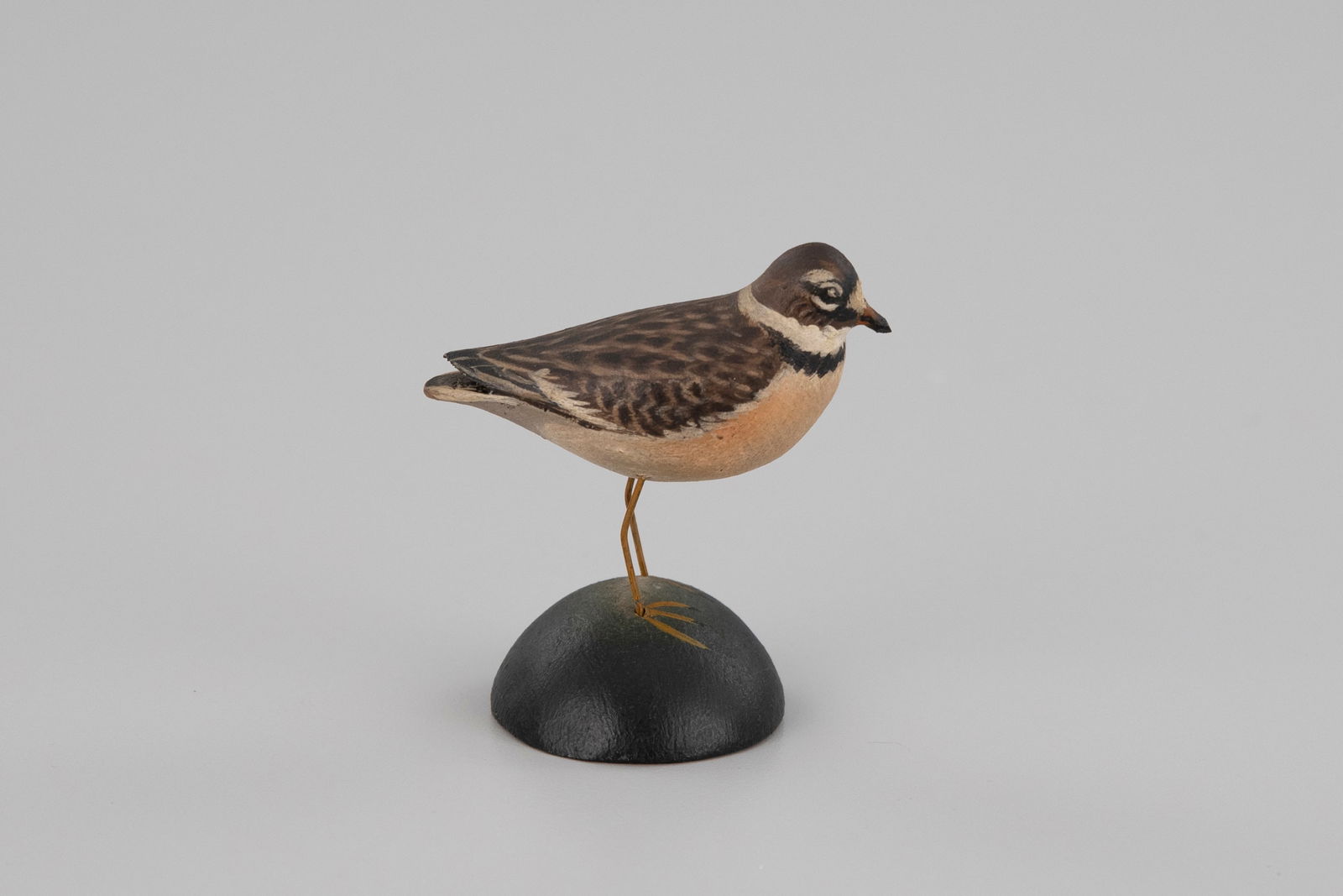 Miniature Semipalmated Plover by A. Elmer Crowell (1862-1952) (1 of 5)