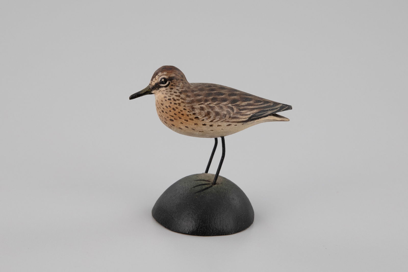 Miniature Least Sandpiper by A. Elmer Crowell (1862-1952) (1 of 5)