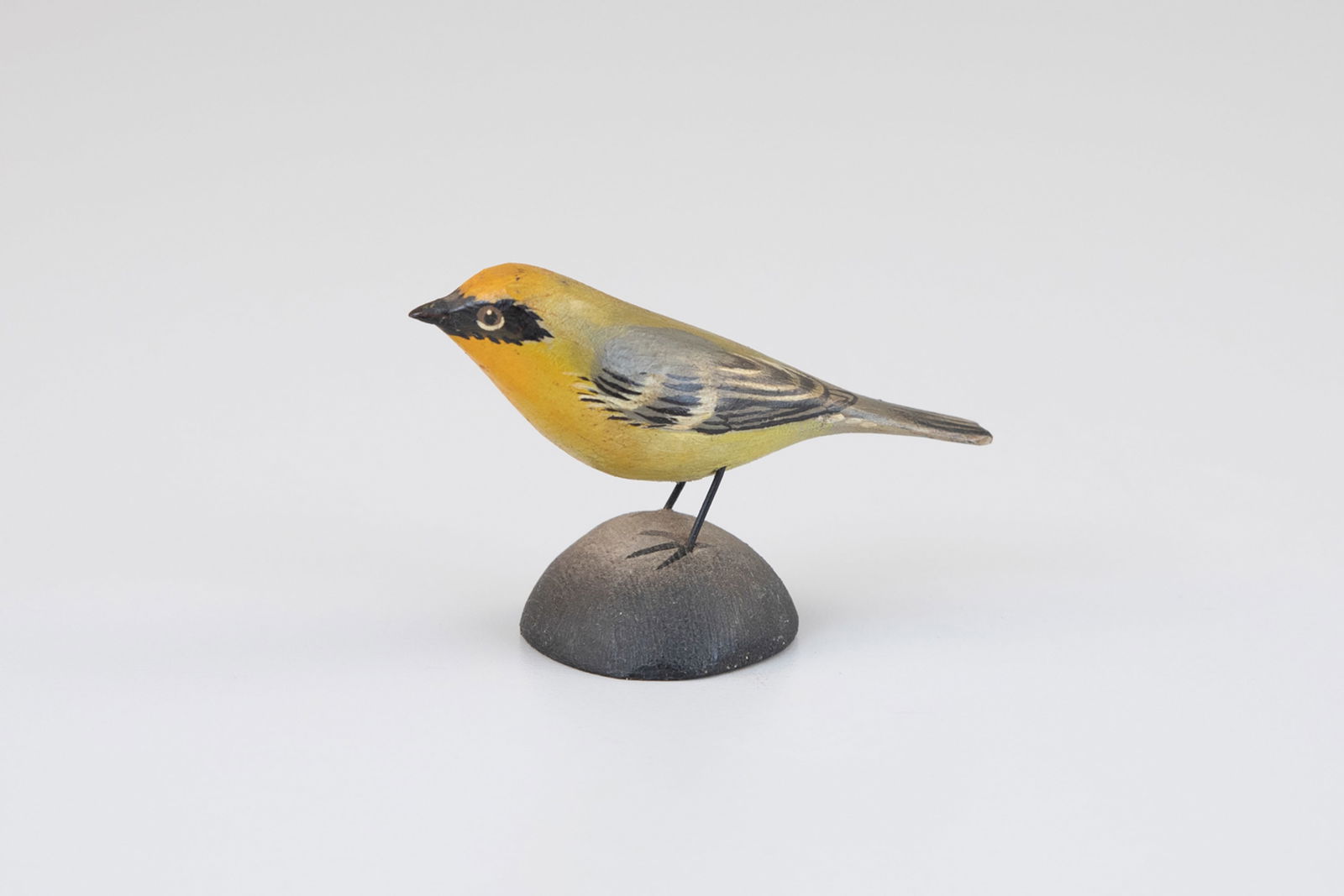 Miniature Blue-Winged Warbler by A. Elmer Crowell (1862-1952) (1 of 5)
