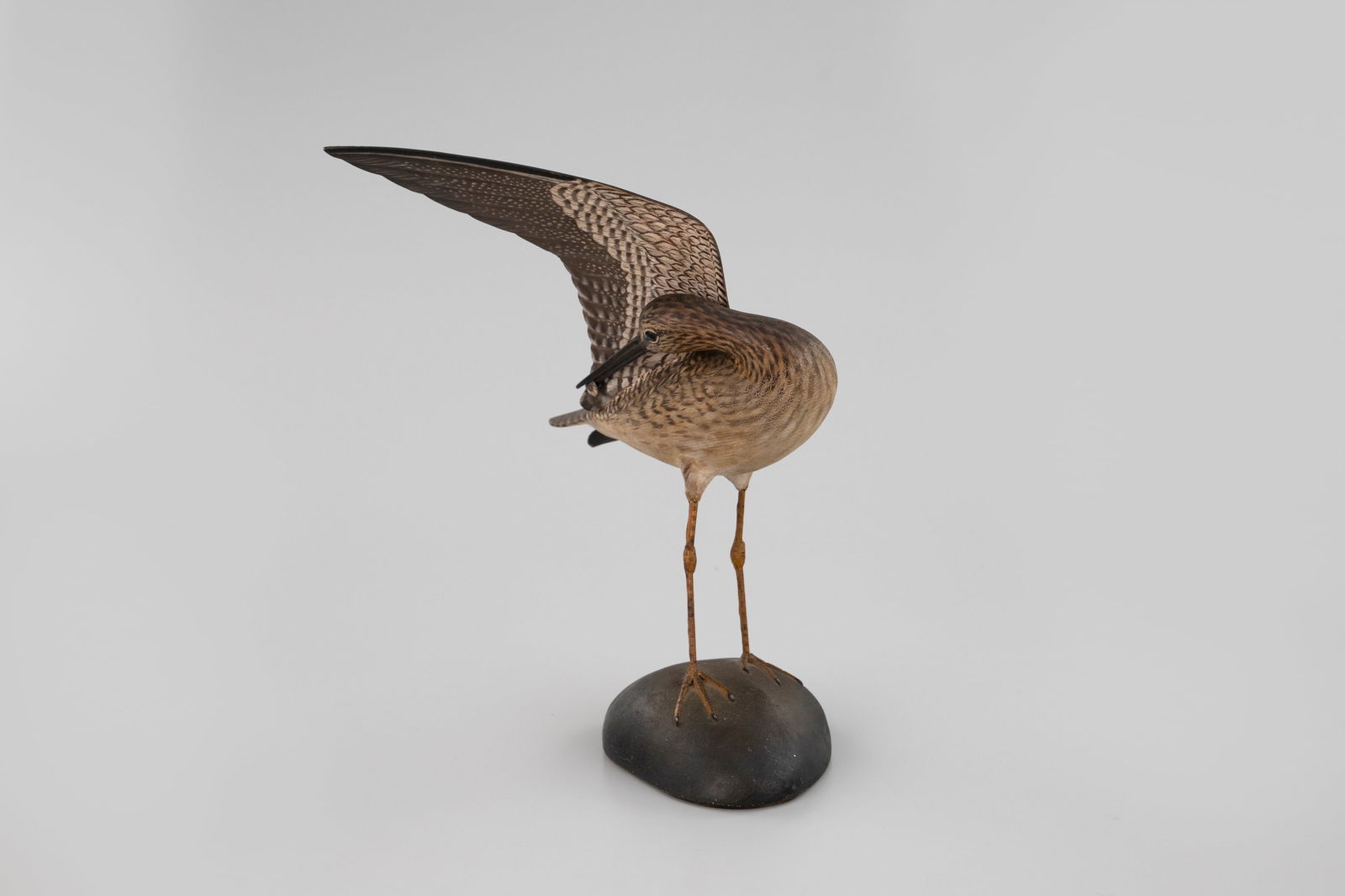 The Underwood Wing-Up Greater Yellowlegs by A. Elmer Crowell (1862-1952) - 5