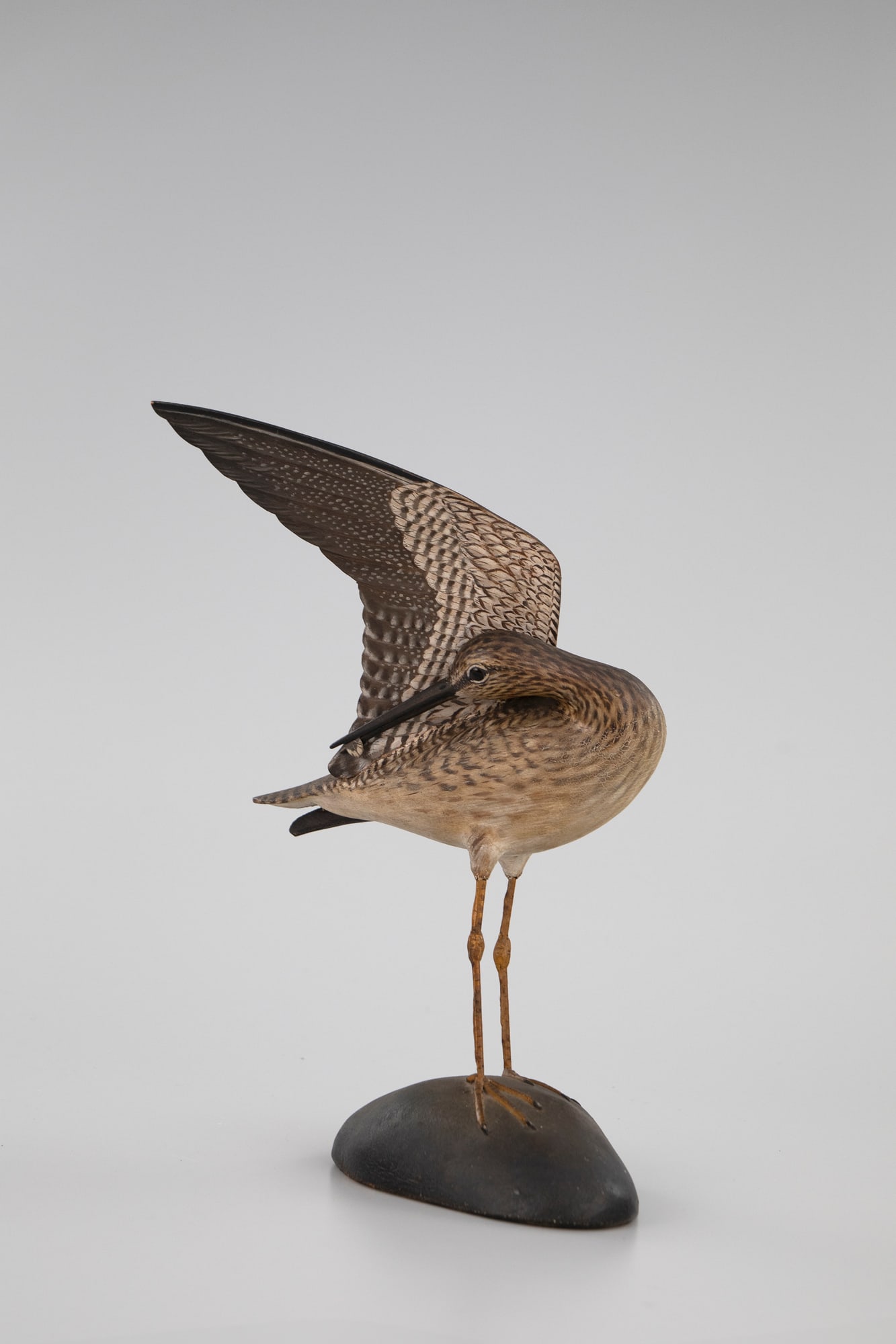 The Underwood Wing-Up Greater Yellowlegs by A. Elmer Crowell (1862-1952) - 6