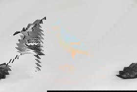 Blue Jay by A. Elmer Crowell (1862-1952): Blue Jay A. Elmer Crowell (1862-1952) East Harwich, MA, c. 1925 7 3/4 in. tall An exceptional early and rare blue jay carving with an ink signature and oval brand on the underside. This example displa