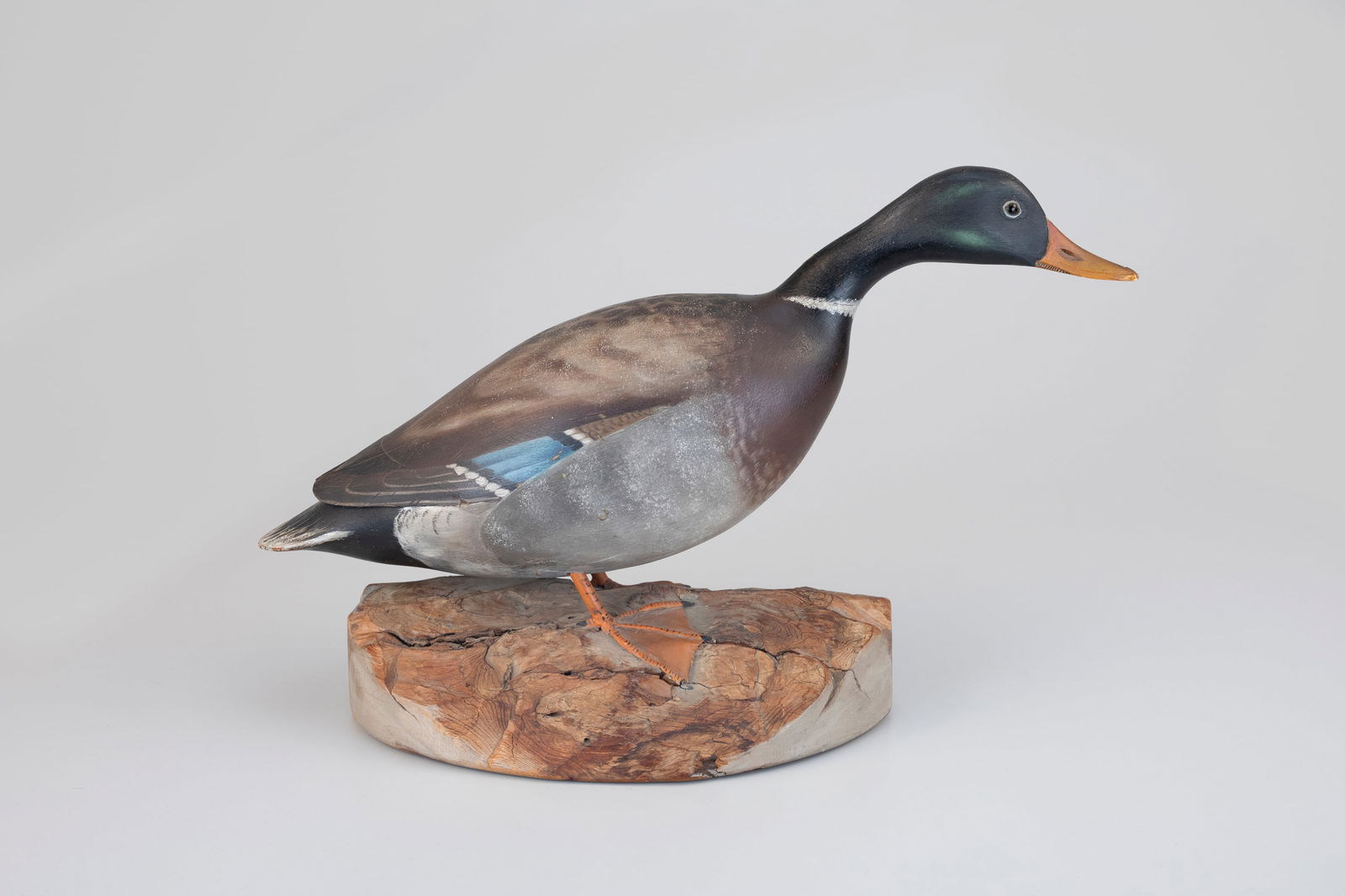 Rare Standing Mallard by A. Elmer Crowell (1862-1952): Rare Standing Mallard A. Elmer Crowell (1862-1952) East Harwich, MA, c. 1930 12 1/2 in. tall, 20 in. long Crowell's life-size standing waterfowl are difficult to find, with the mallard among the rares