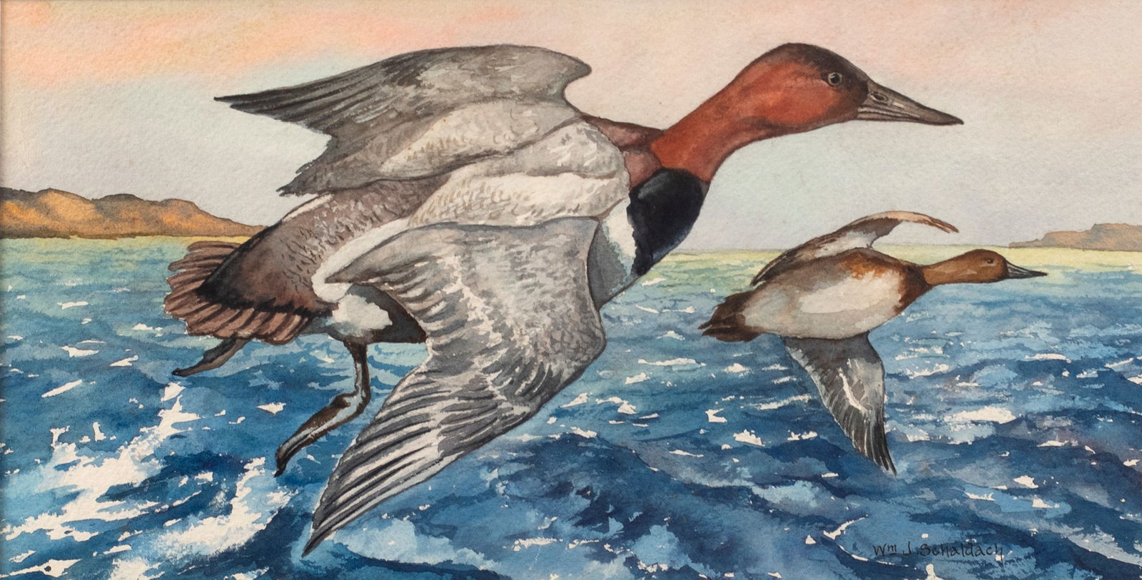 William J. Schaldach (1896-1982), Two Watercolors: William J. Schaldach (1896-1982) Two Watercolors each signed "Wm. J. Schaldach" lower right each 7 1/2 by 14 in. Canvasbacks and Pintails Two waterfowl paintings showing canvasbacks soaring above