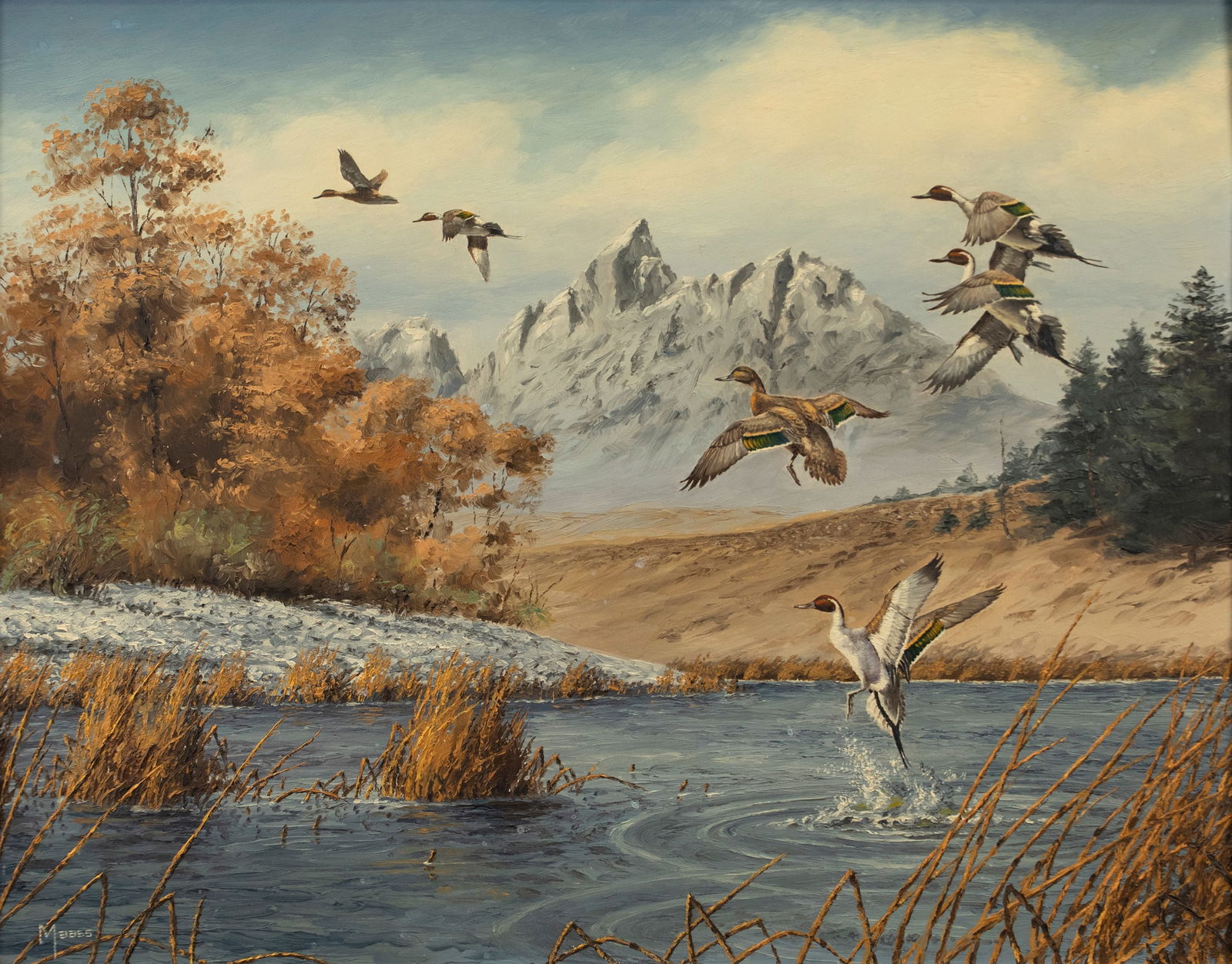 David A. Maass (b. 1929), Grand Teton Pintails: David A. Maass (b. 1929) Grand Teton Pintails, 1964 signed "Maass" lower left oil on board, 20 by 24 in. Dynamic and grand, this Maass painting shows a group of pintails as they depart from a scenic