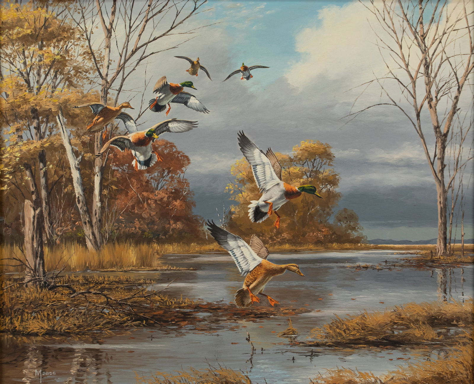 David A. Maass (b. 1929), Incoming Mallards: David A. Maass (b. 1929) Incoming Mallards, 1965 signed "Maass" lower left oil on board, 20 by 24 in. A fine oil by the renowned wildlife artist depicting seven colorful mallards as they glide into