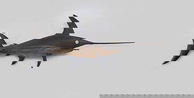 Life-Size Swordfish by Ira D. Hudson (1873-1949): Life-Size Swordfish Ira D. Hudson (1873-1949) Chincoteague, VA, c. 1920 67 in. long "It is said, by those who knew Ira, that he only made about a dozen or so fish carvings to give to friends and sell