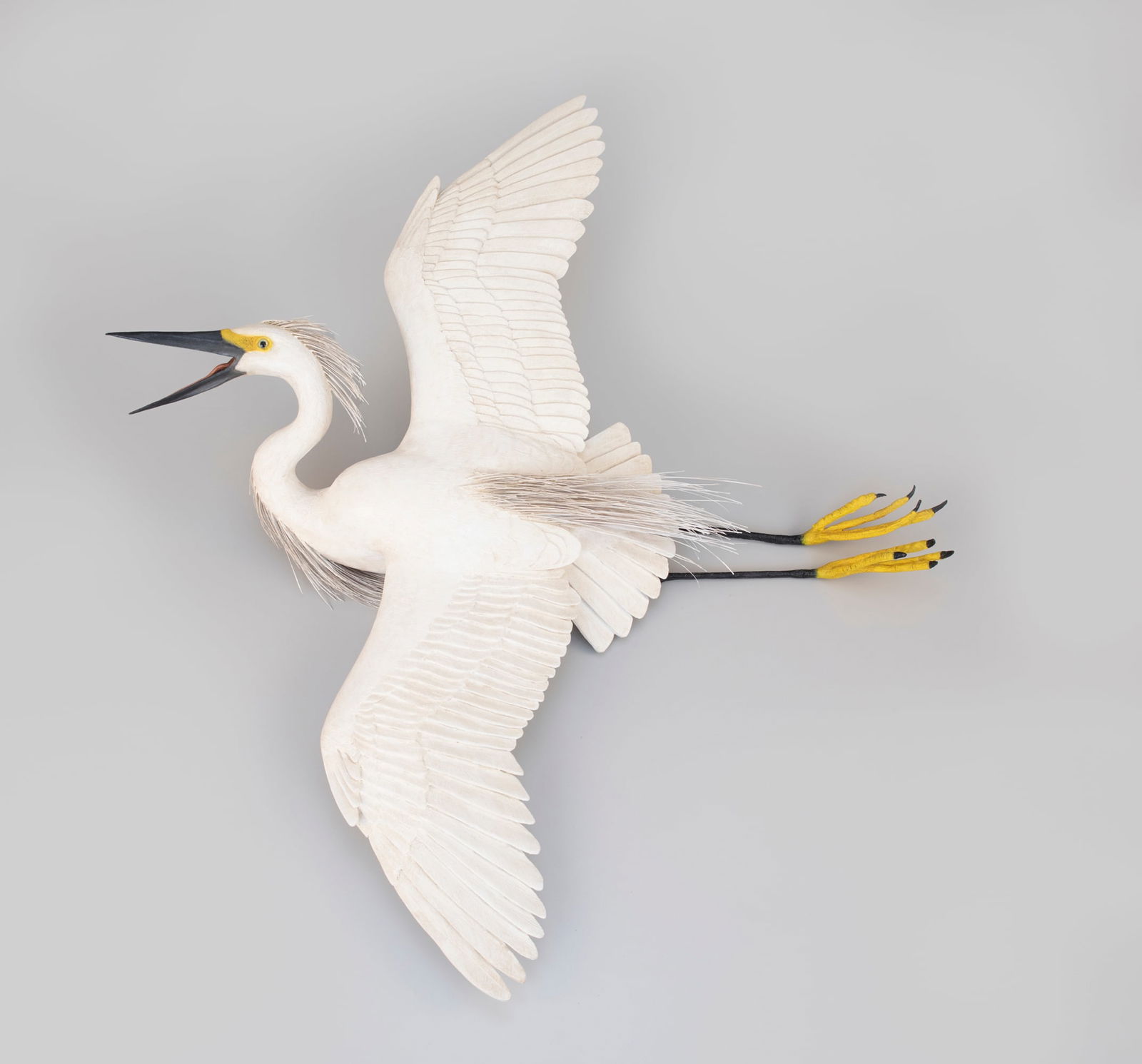 Flying Snowy Egret by Frank Finney (b. 1947): Flying Snowy Egret Frank Finney (b. 1947) Capeville, VA 39 in. wingspan, 35 1/2 in. long This grand life-size and full-bodied egret was made to hang on a wall. The underside has an incised signature.