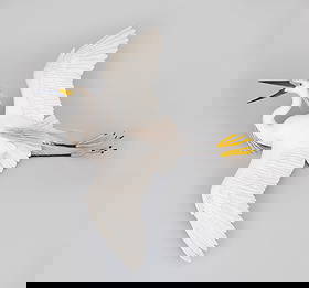 Flying Snowy Egret by Frank Finney (b. 1947): Flying Snowy Egret Frank Finney (b. 1947) Capeville, VA 39 in. wingspan, 35 1/2 in. long This grand life-size and full-bodied egret was made to hang on a wall. The underside has an incised signature.