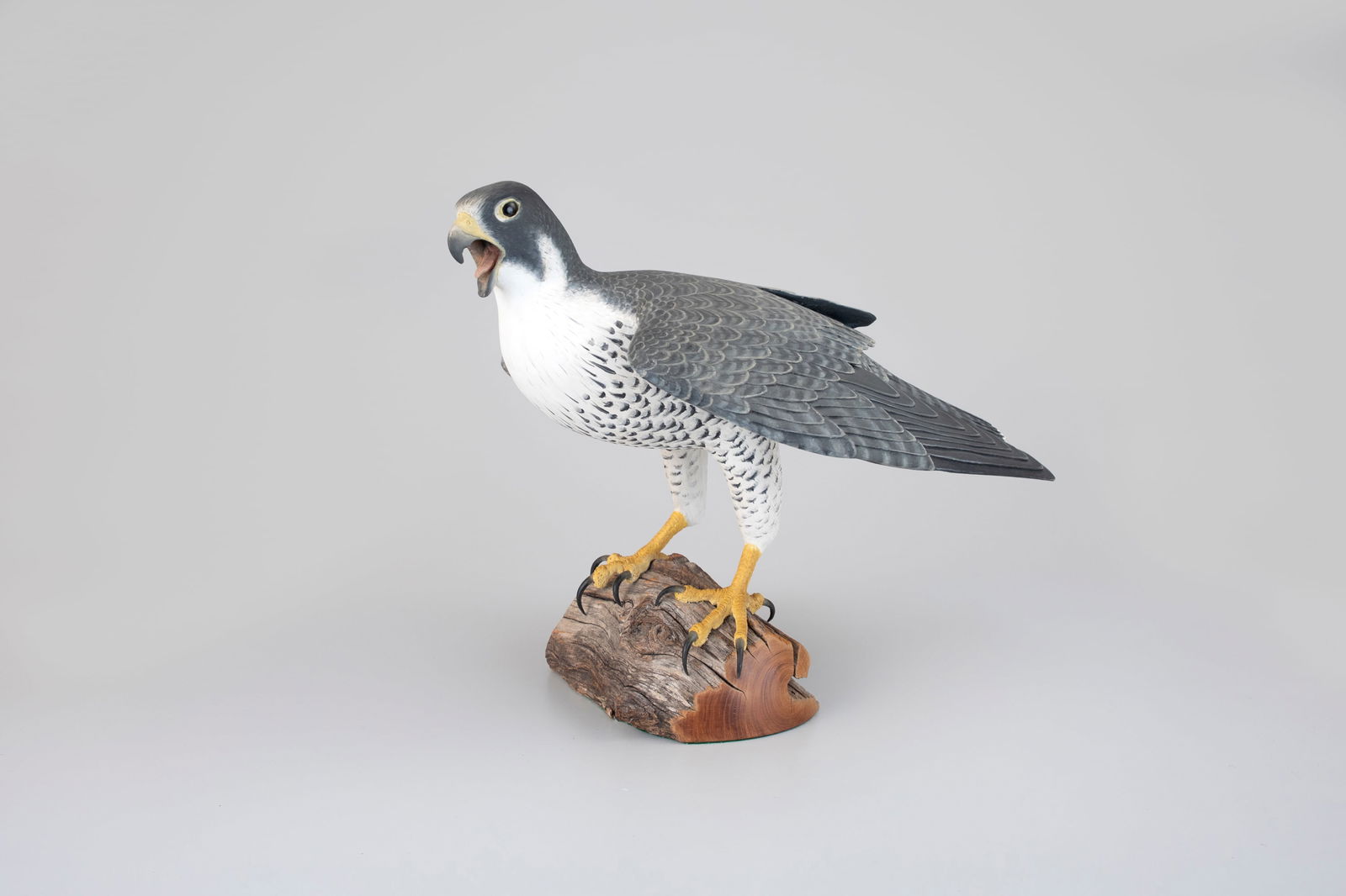 Calling Peregrine Falcon by Frank Finney (b. 1947): Calling Peregrine Falcon Frank Finney (b. 1947) Capeville, VA 20 in. long, 15 in. tall Living in Capeville, Virginia, Finney was well positioned to observe the comeback of this iconic speedster along