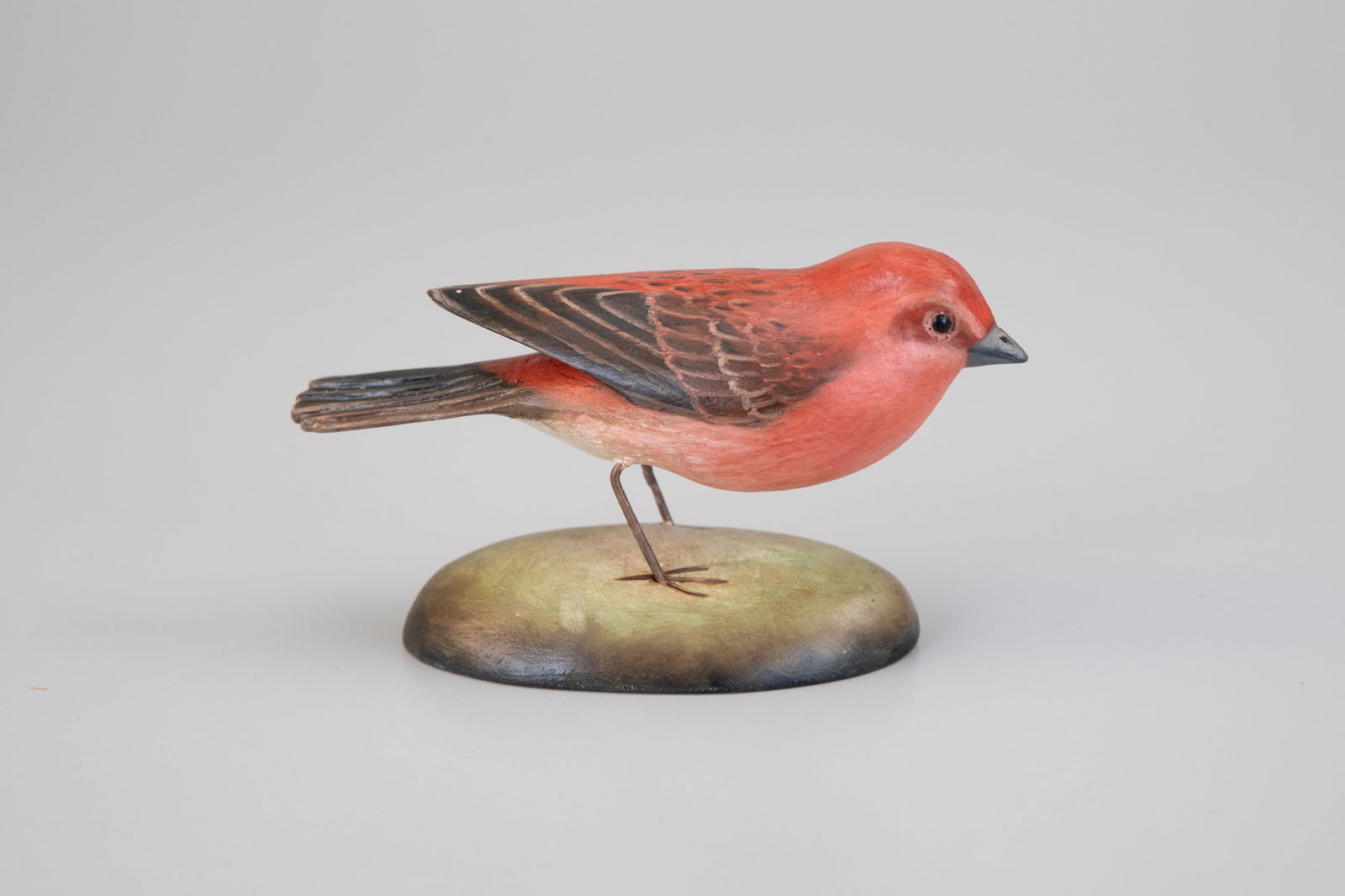 Purple Finch by Frank Finney (b. 1947) (1 of 5)