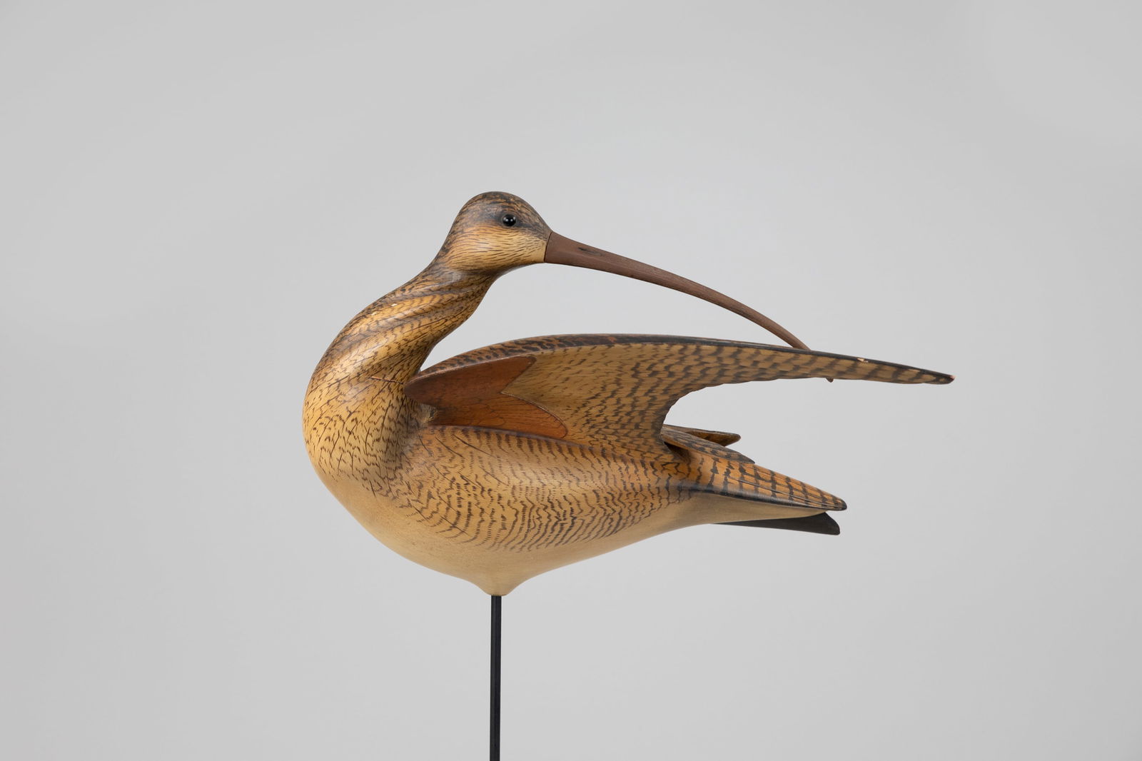 Preening Wing-Up Curlew by William Gibian (b. 1946) (1 of 5)