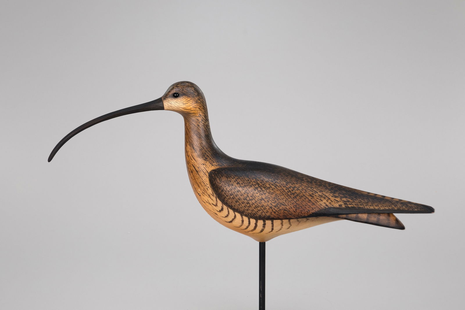 Long-Billed Curlew by William Gibian (b. 1946) (1 of 5)