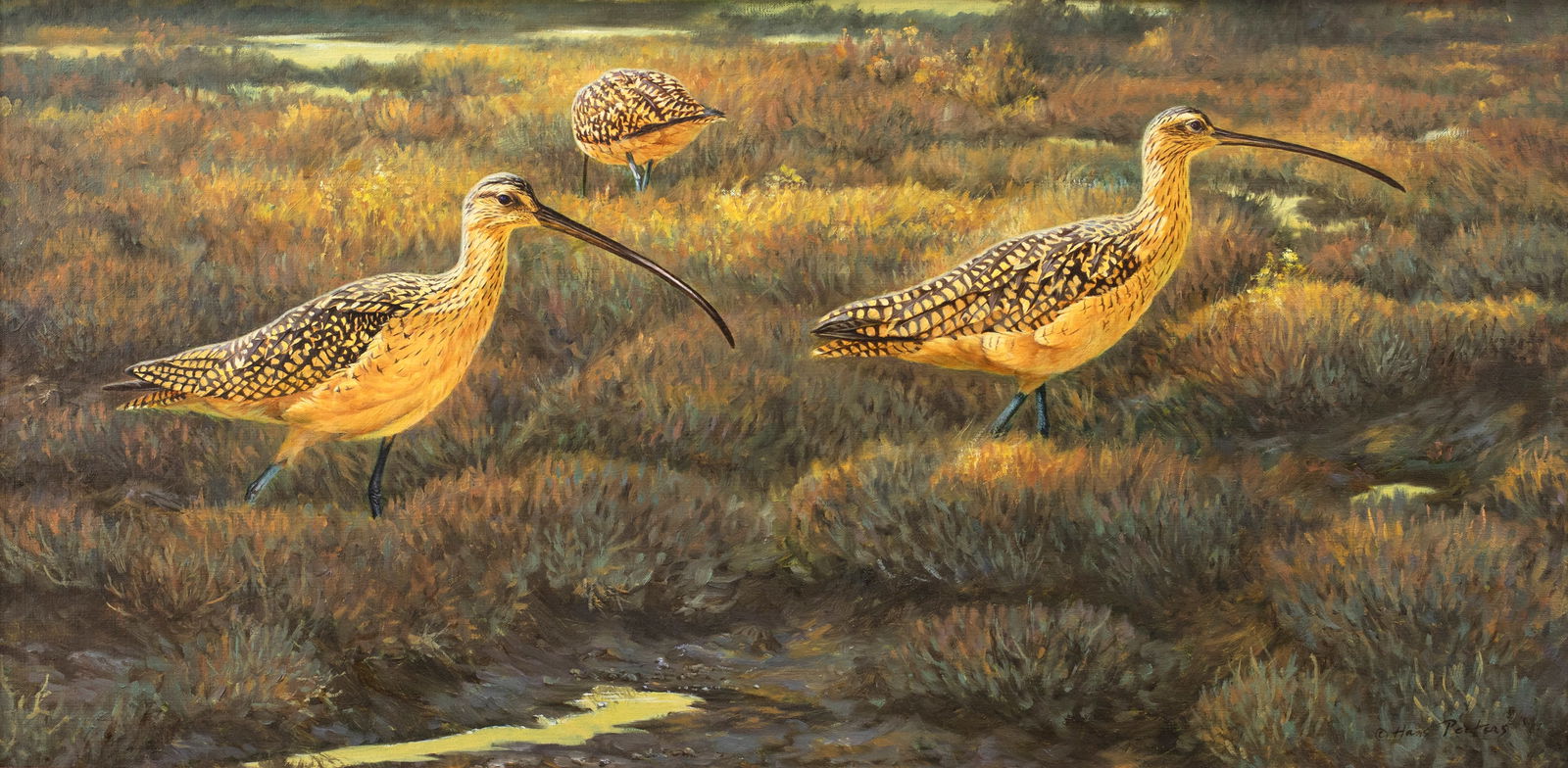 Hans J. Peeters (b. 1937), Curlews in the Marsh: Hans J. Peeters (b. 1937) Curlews in the Marsh signed "Hans Peeters" lower right acrylic on canvas, 20 by 40 in. Hans Peeters was born in Germany, but moved to California as a teenager, where he studi