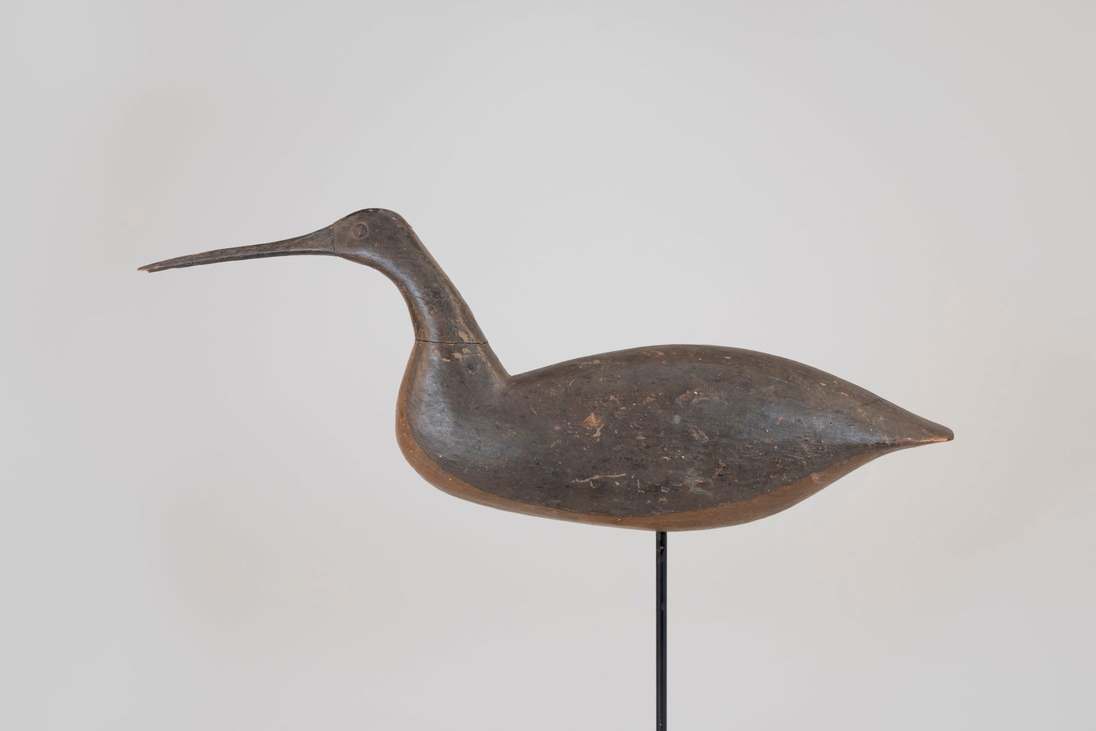 Mackey Long-Billed Curlew: Mackey Long-Billed Curlew c. 1875 18 1/2 in. long This iconic reaching long-billed curlew from the Mackey Collection was selected for both his and Colio's books. "The Long-billed Curlew, most majestic