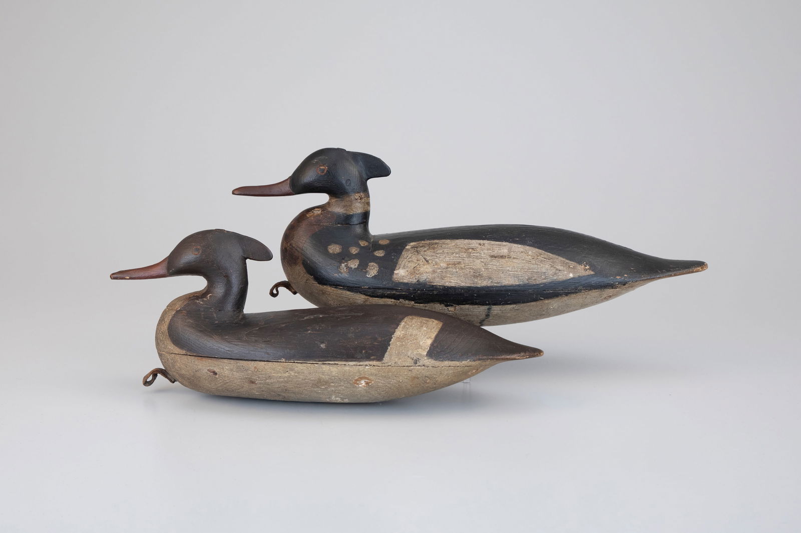 Important Cape May Merganser Pair - 2