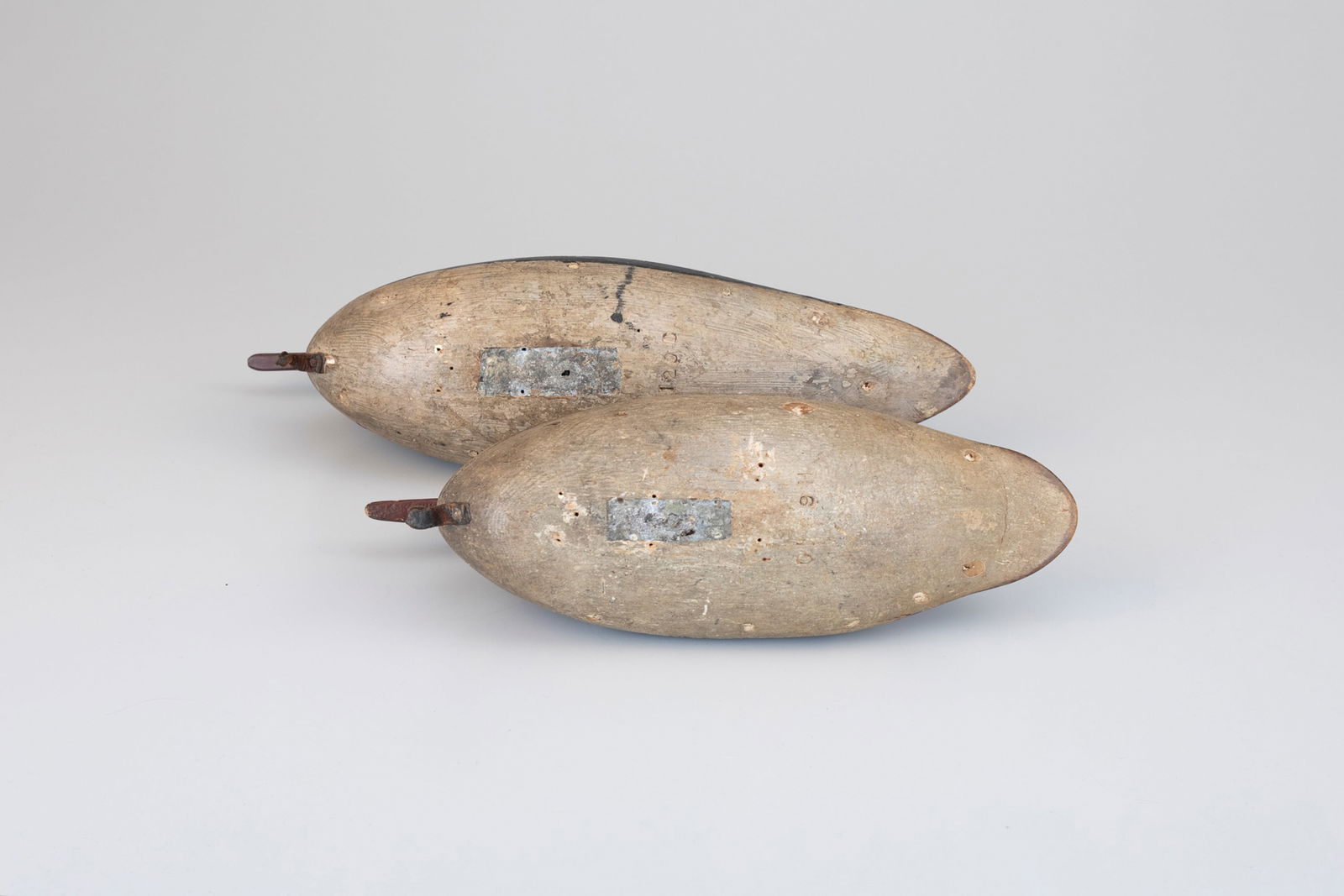 Important Cape May Merganser Pair - 4