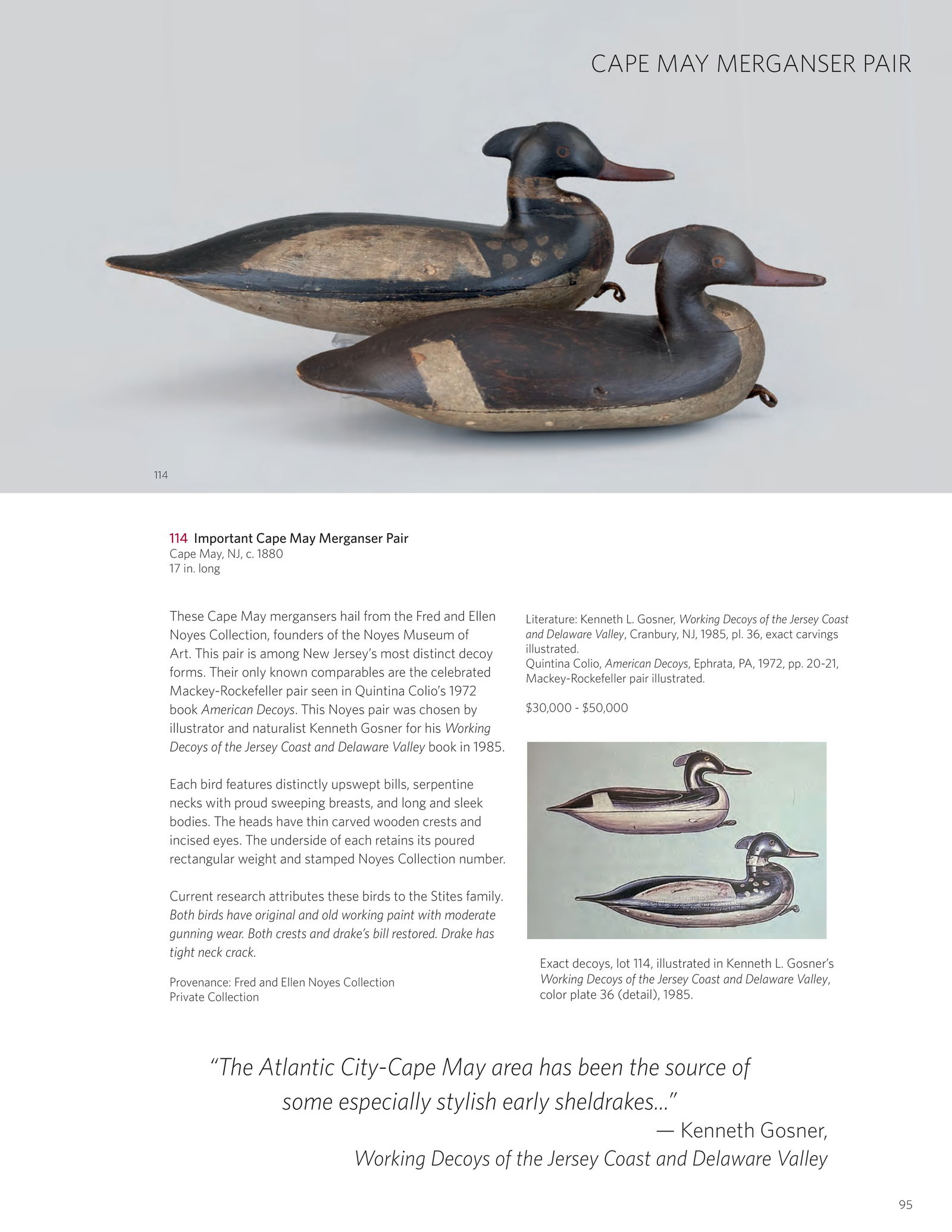 Important Cape May Merganser Pair - 6