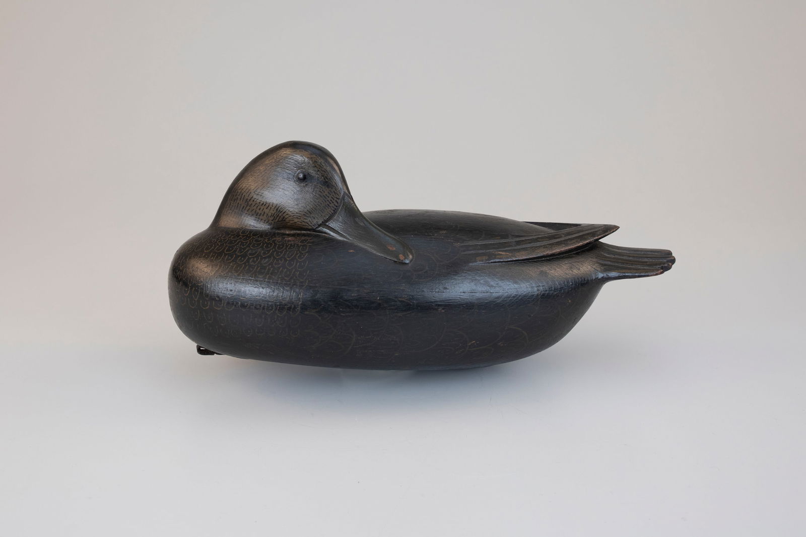 Sleeping Black Duck by Jess Heisler (1891-1943) (1 of 5)