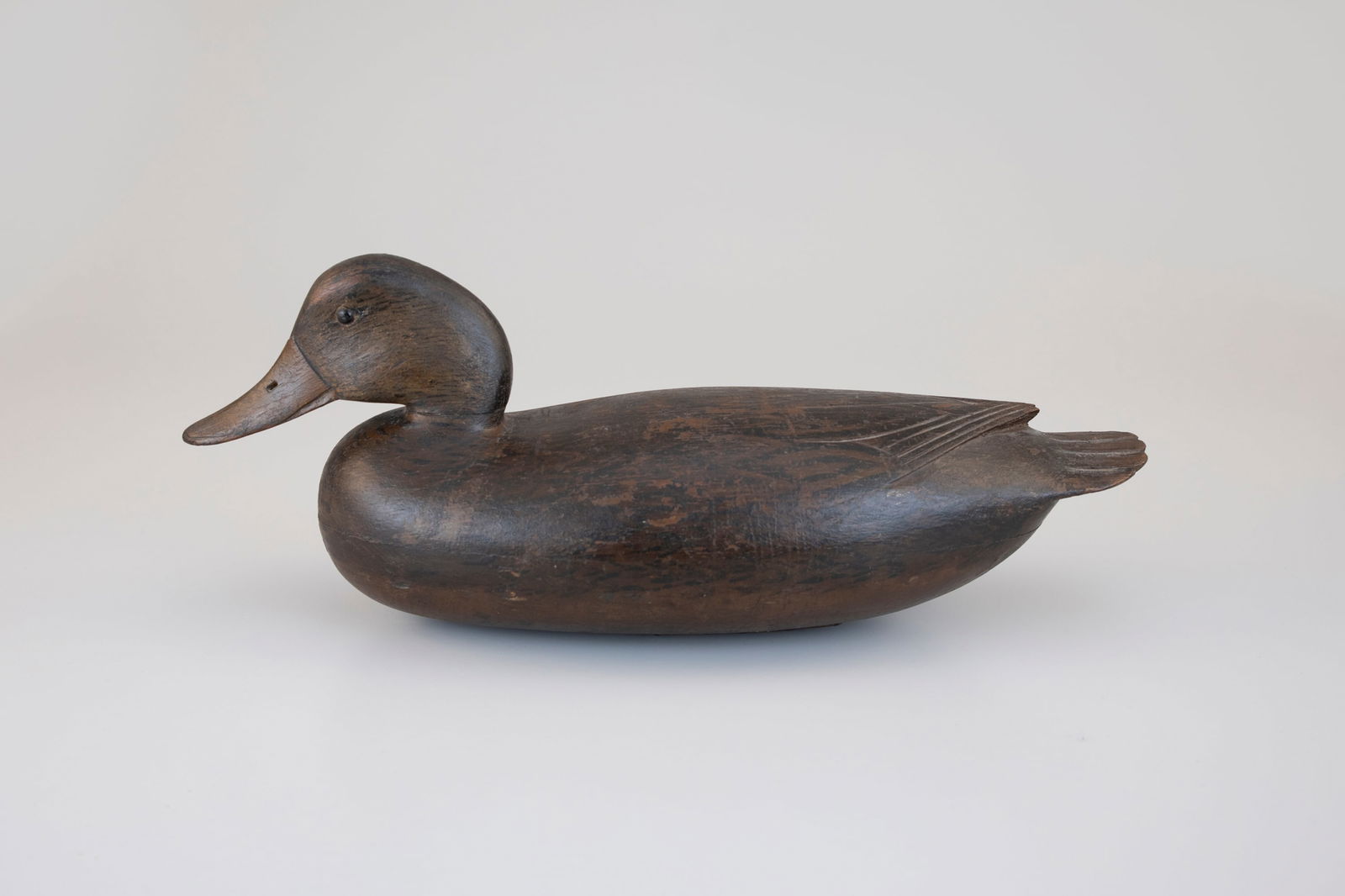 The White English Mallard Hen by John English (1848-1915): The White English Mallard Hen John English (1848-1915) Florence, NJ, c. 1880 15 3/4 in. long John English was "the innovator of the Delaware River decoy," yet his existence eluded collectors for years