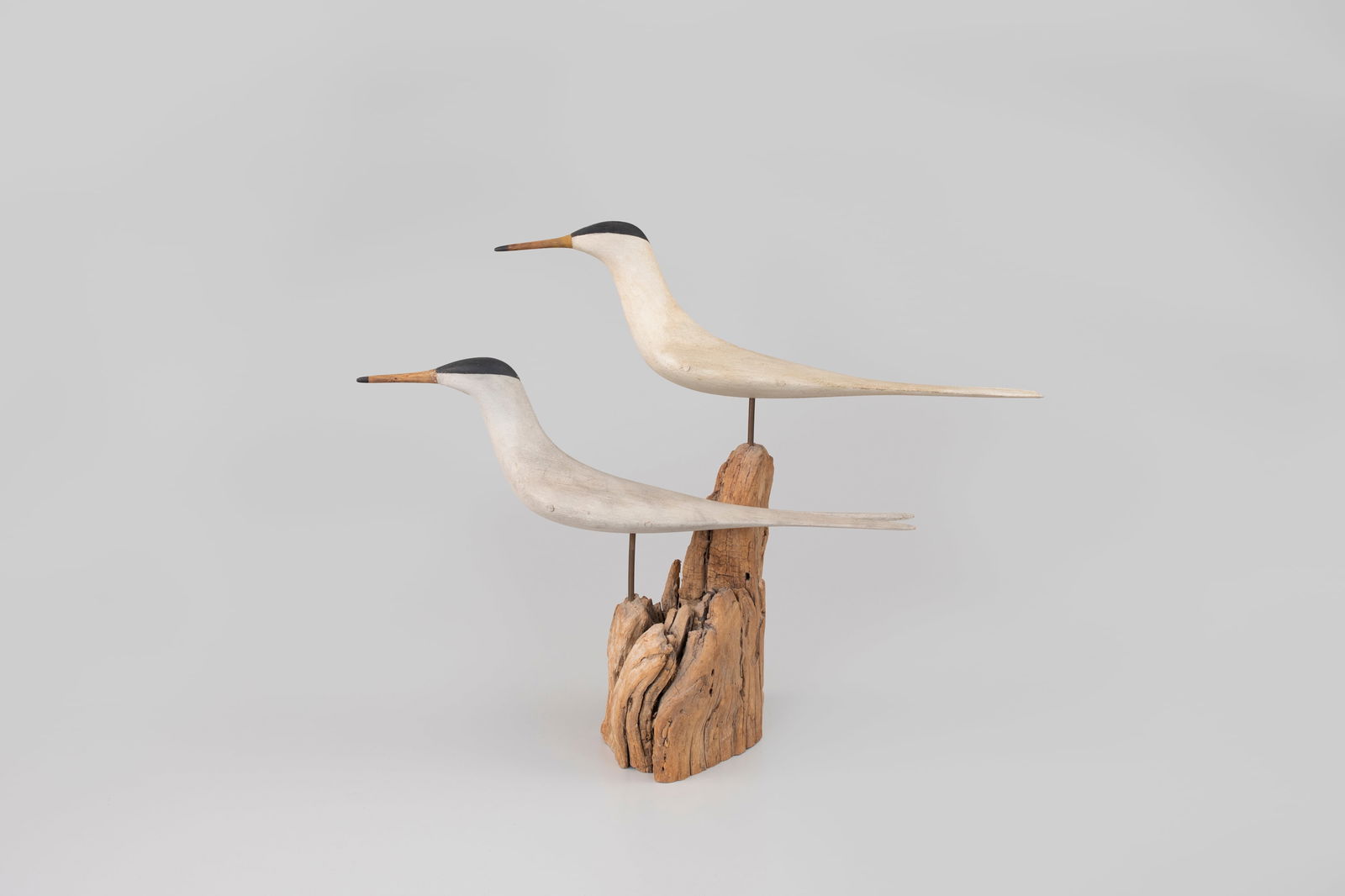 Tern Pair by Mark McNair (b. 1950): Tern Pair Mark McNair (b. 1950) Craddockville, VA, c. 1990 17 1/2 in. long A graceful pair of tern carvings with wide bodies and sides applied with wooden pins. The maker's incised "MCNAIR"