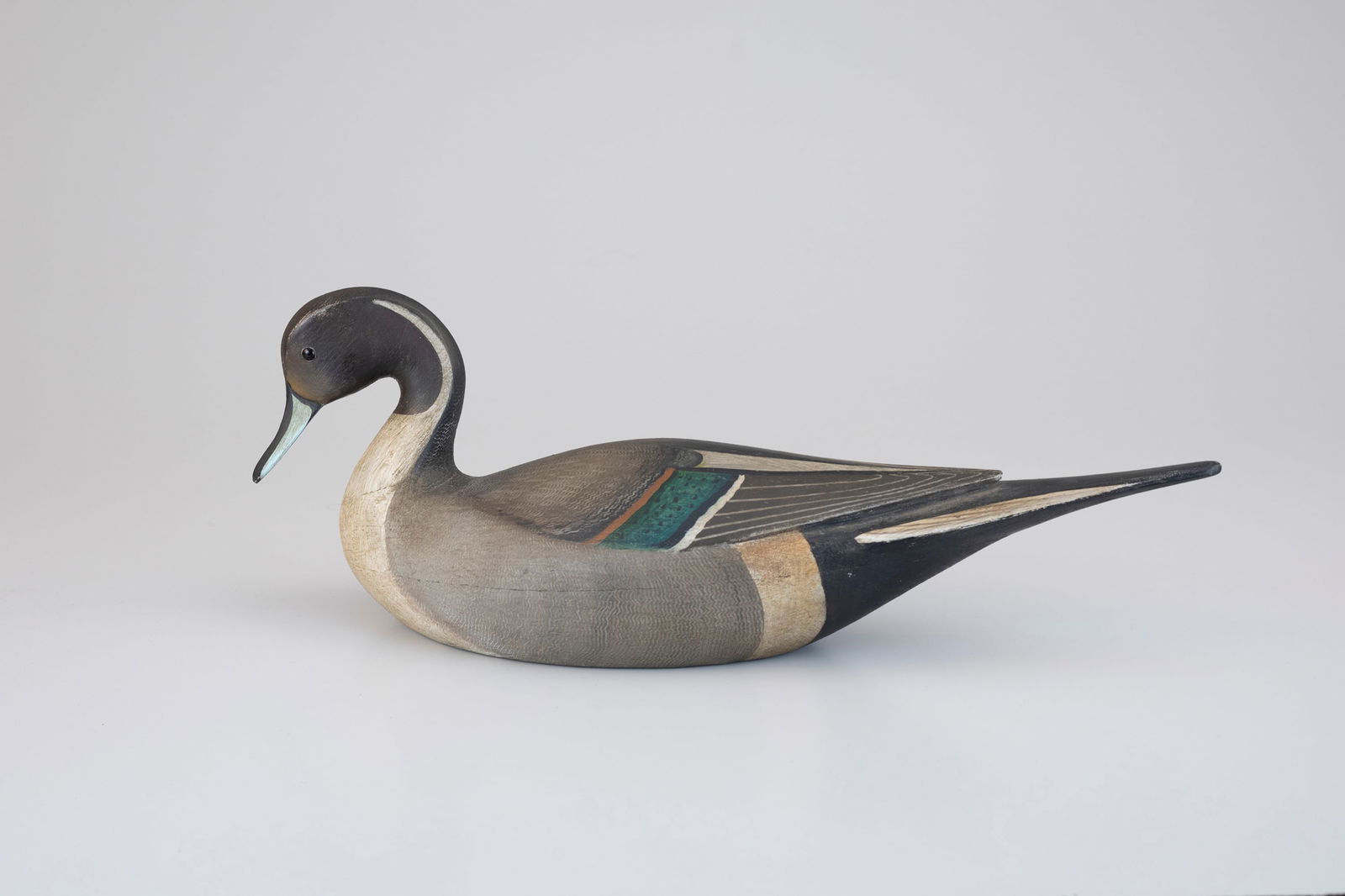 Outstanding Pintail by Cameron McIntyre (b. 1968) (1 of 5)
