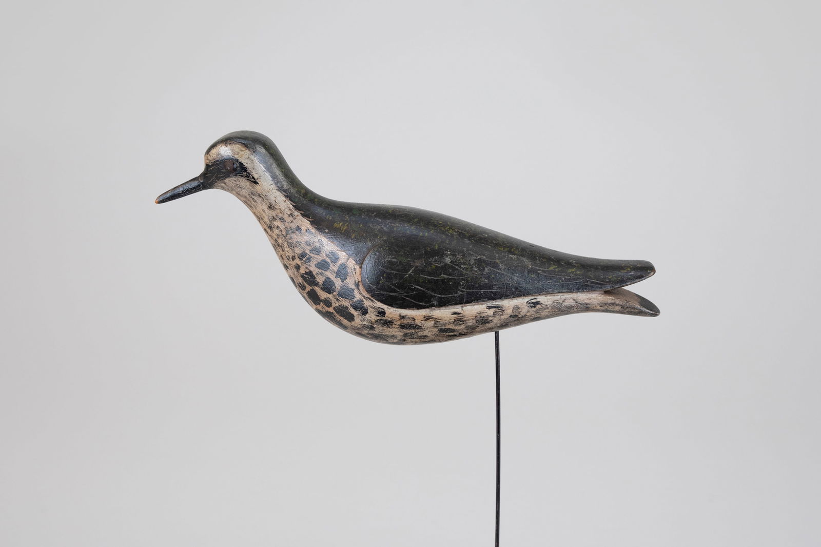 Golden Plover by Folger Family (1 of 7)