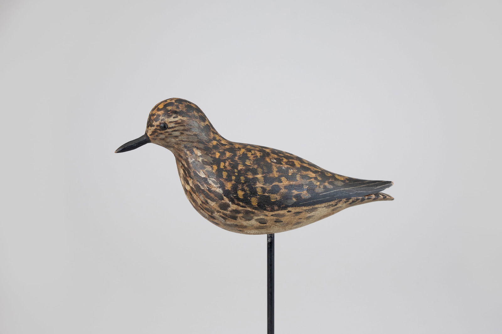 Golden Plover in Fall Plumage by A. Elmer Crowell (1862-1951): Golden Plover in Fall Plumage A. Elmer Crowell (1862-1951) East Harwich, MA, c. 1910 10 in. long According to hunting lore, carvings painted in molting plumage, such as this one, were favored because