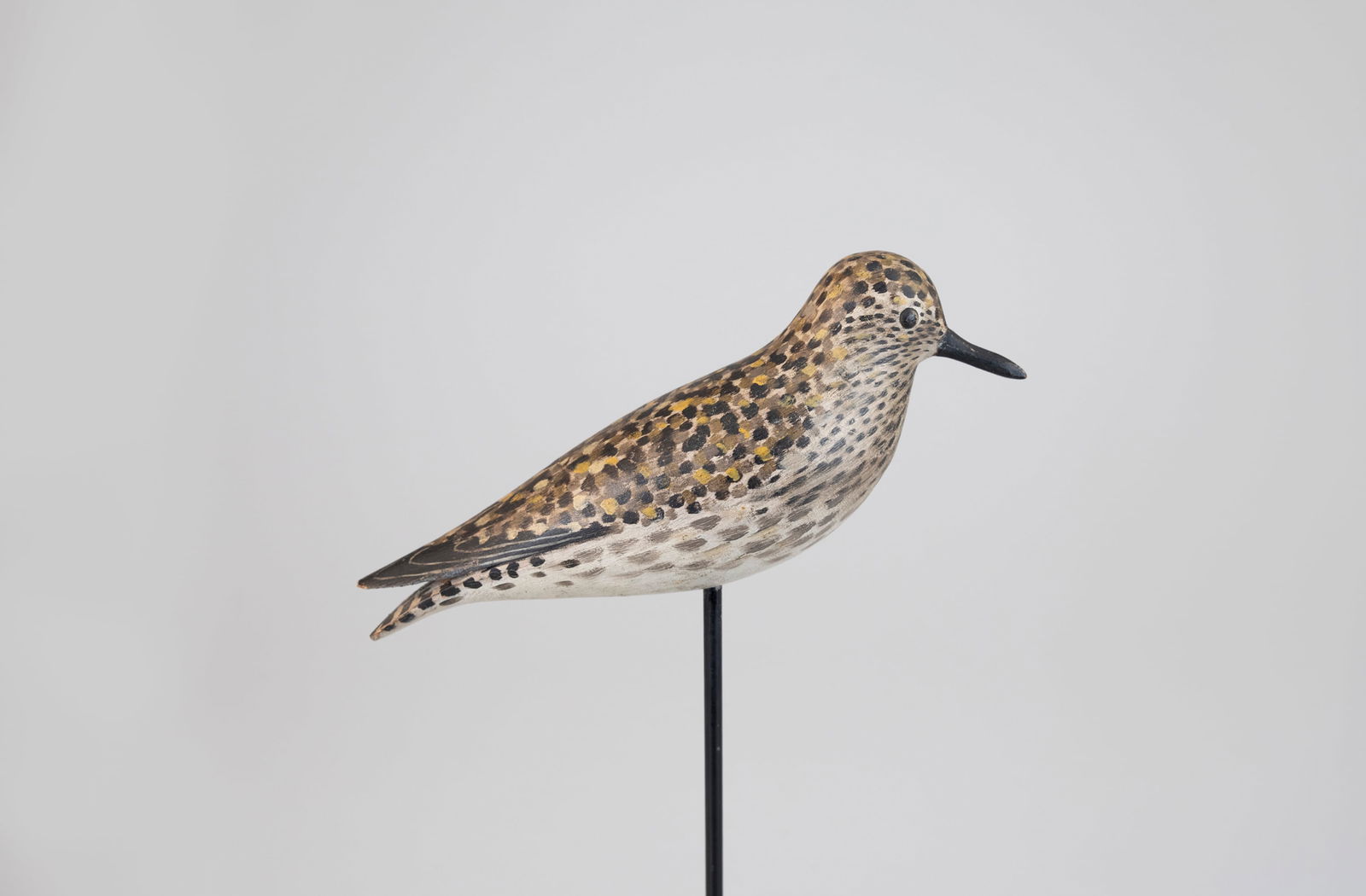 Golden Plover in Spring Plumage by A. Elmer Crowell (1862-1951): Golden Plover in Spring Plumage A. Elmer Crowell (1862-1951) East Harwich, MA, c. 1910 9 1/2 in. long A rare model with rich paint and bright golden spots. Original paint with light gunning wear. Prov