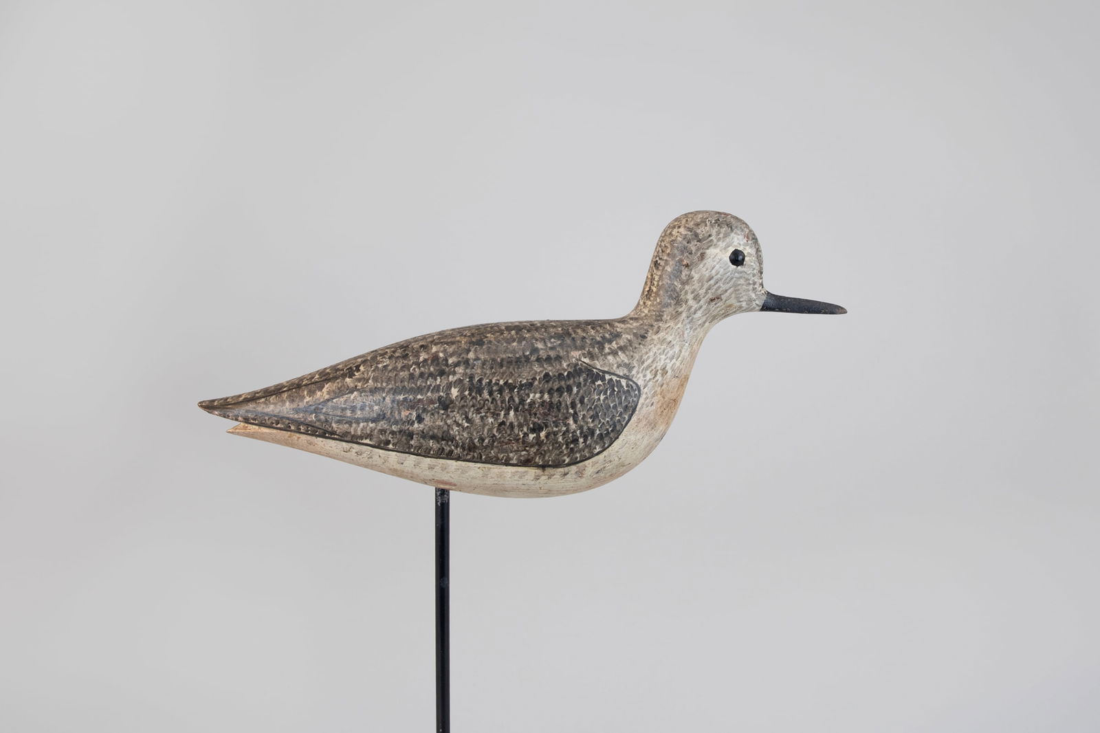 Plover in Winter Plumage by George Boyd (1873-1941) (1 of 6)