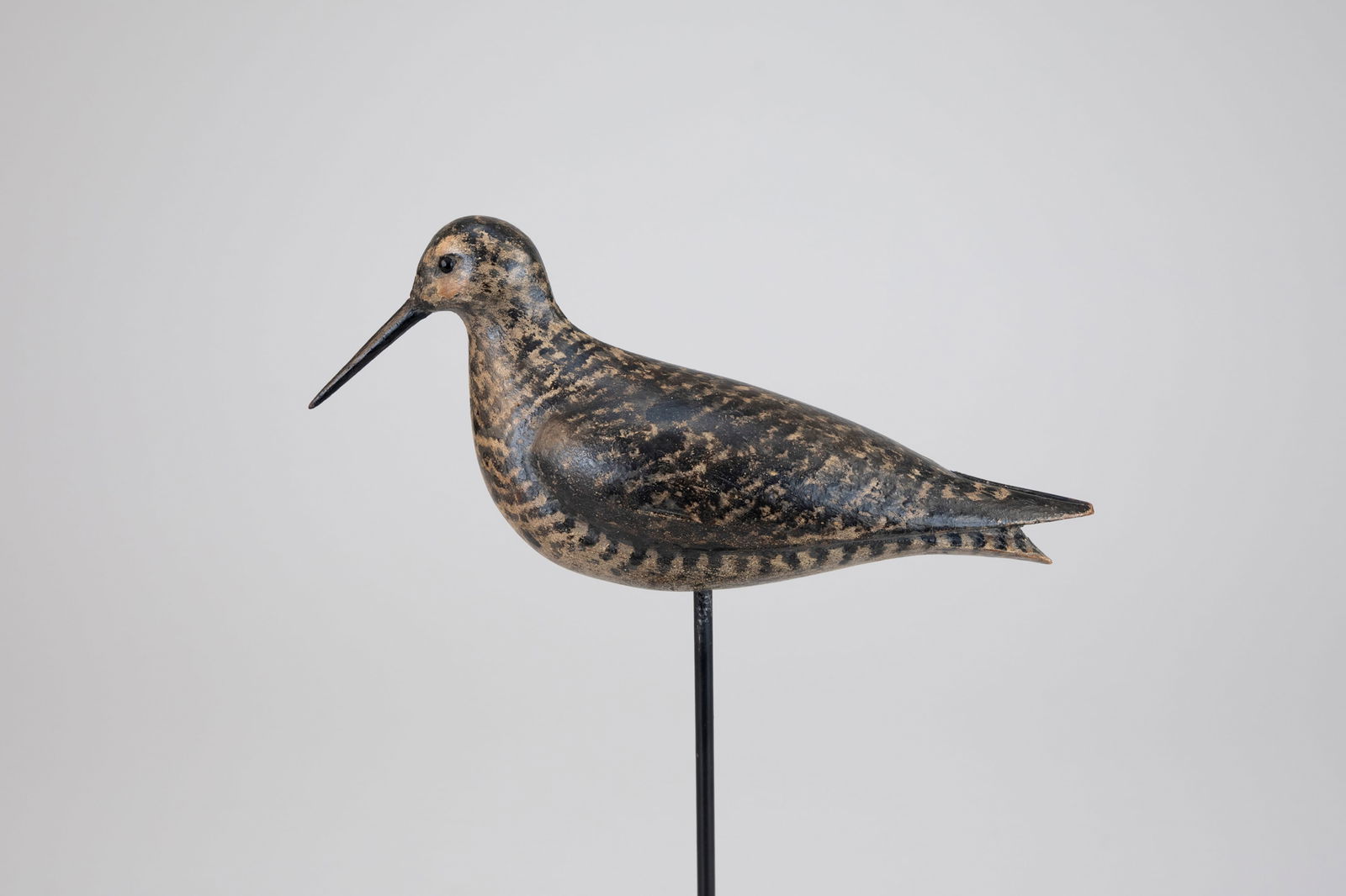 Willet by Charles Sumner Bunn (1865-1952) (1 of 7)