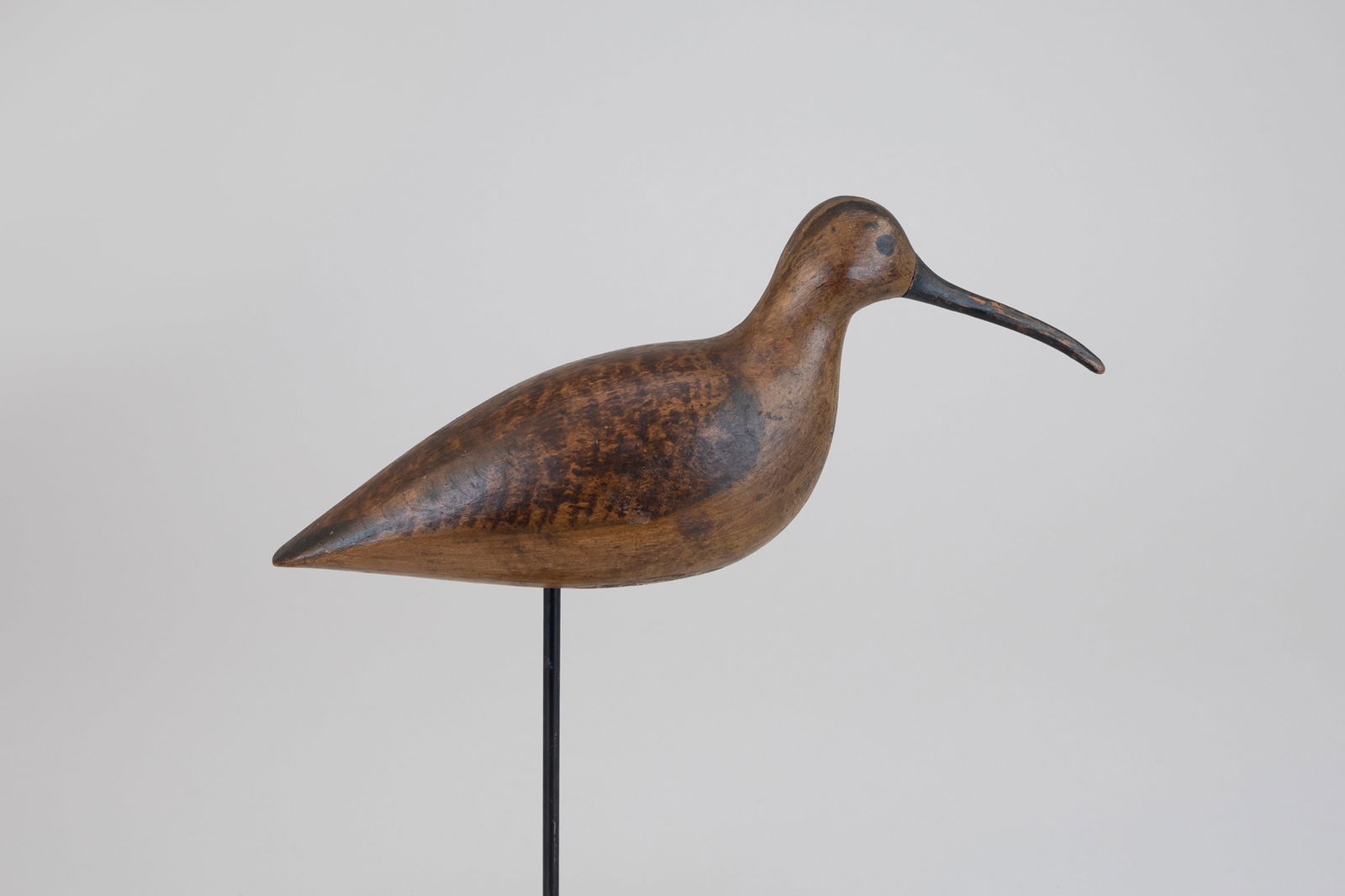 Curlew by Harry V. Shourds (1861-1920) (1 of 7)