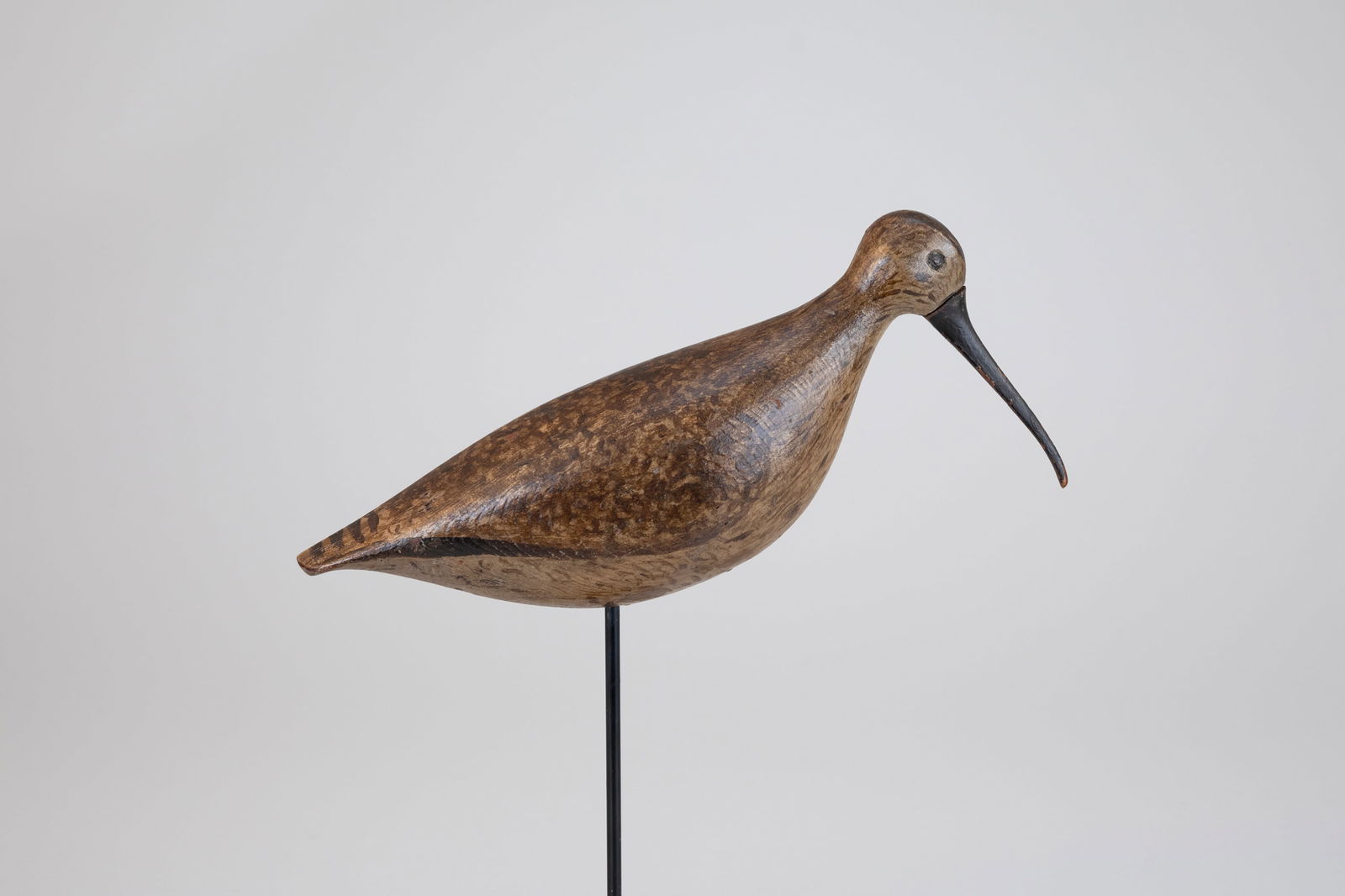 Virginia Curlew (1 of 10)