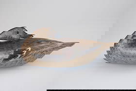 The Masterworks Preening Pintail Hen by Charles H. Perdew (1874-1963): The Masterworks Preening Pintail Hen Charles H. Perdew (1874-1963) Henry, IL, c. 1925 14 1/4 in. long "This graceful decoy is rare," writes "Perdew" author Ann Lacy of the nearly identical rigmate and