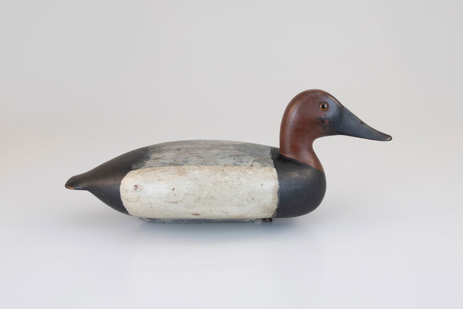Masterworks Canvasback by Charles S. Schoenheider Sr. (1854-1924) (1 of 5)