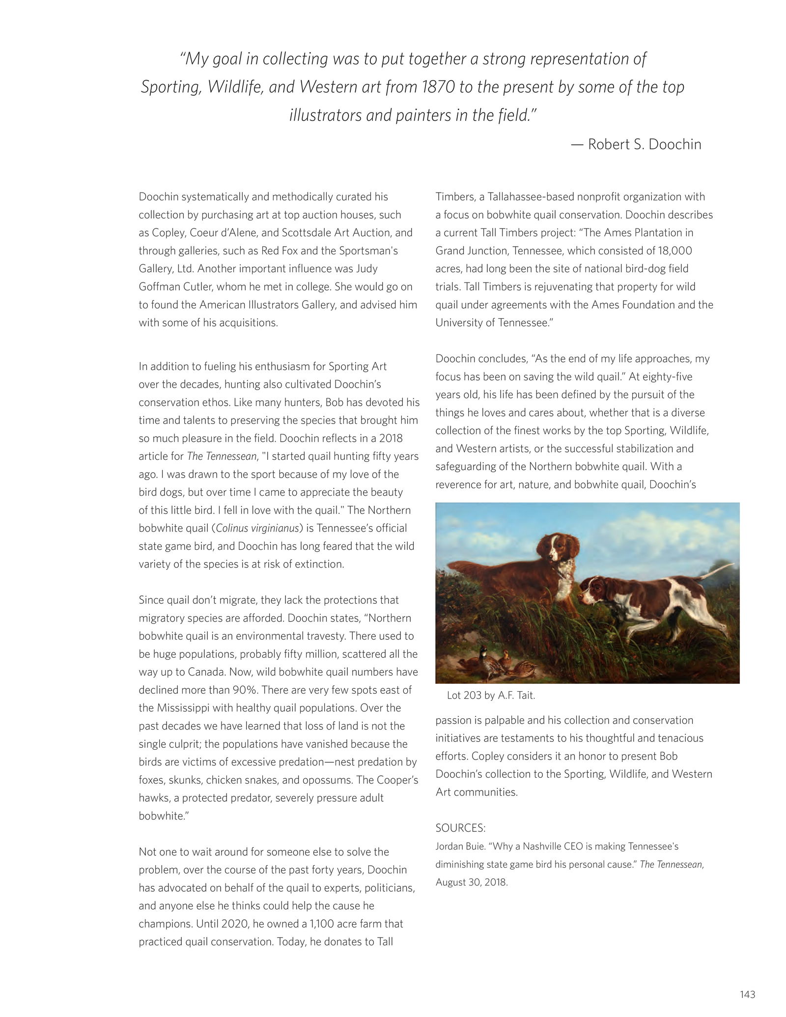 Arthur Fitzwilliam Tait (1819-1905), Pointer, Setter, and Quail - 5