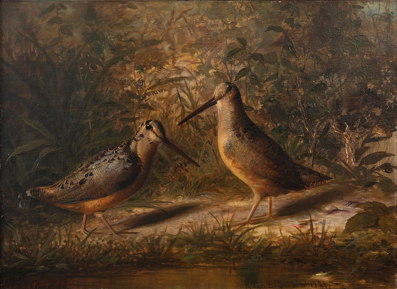 Richard LaBarre Goodwin (1840-1910), Woodcock: Richard LaBarre Goodwin (1840-1910) Woodcock, 1891 signed and dated "R. La. B. Goodwin 1891" lower right oil on canvas, 18 by 24 in. Born in Albany, New York, Richard LaBarre Goodwin was the son of