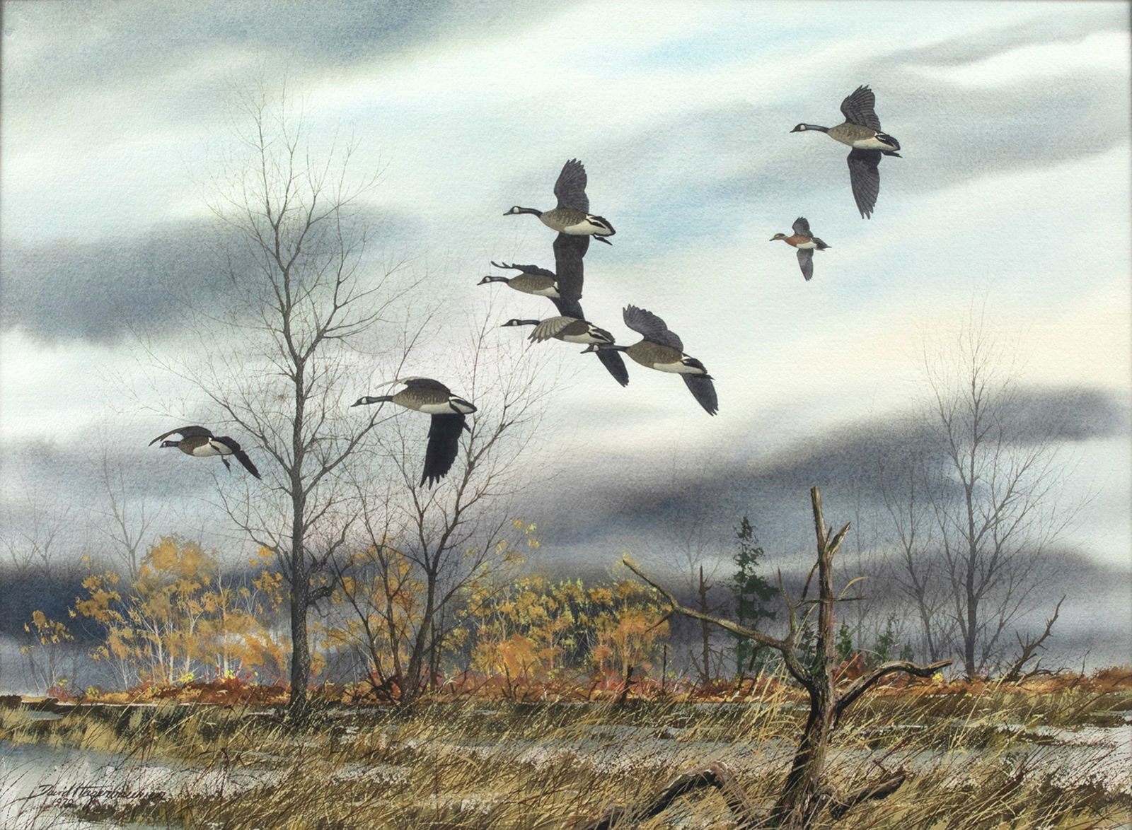 David A. Hagerbaumer (1921-2014), Canada Geese: David A. Hagerbaumer (1921-2014) Canada Geese signed "David Hagerbaumer" lower left watercolor, 22 by 30 in. Provenance: Robert S. Doochin Collection framed, 35 by 42 1/4 in.