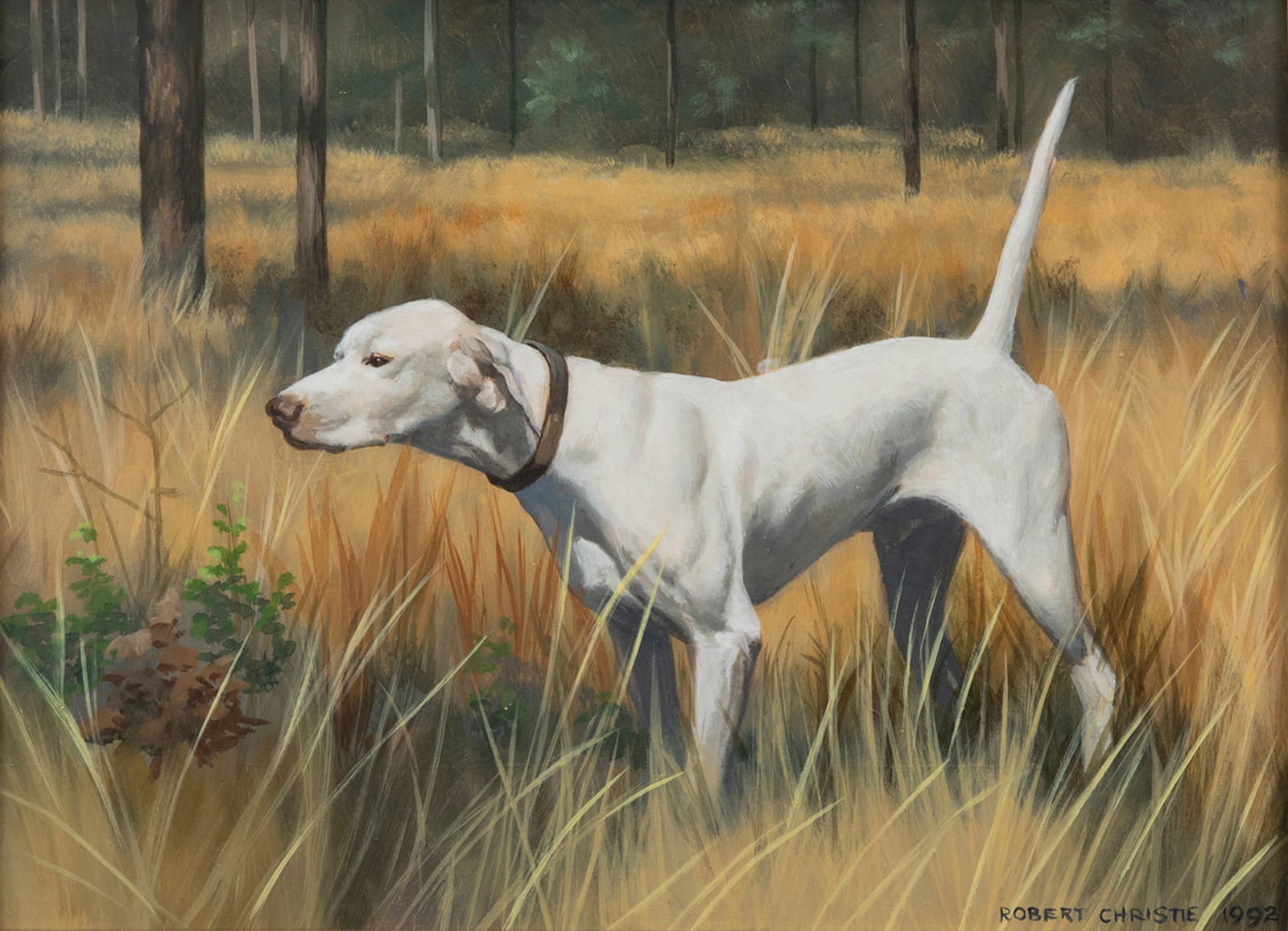 Robert Christie (20th/21st Centuries), Pointer (1 of 5)