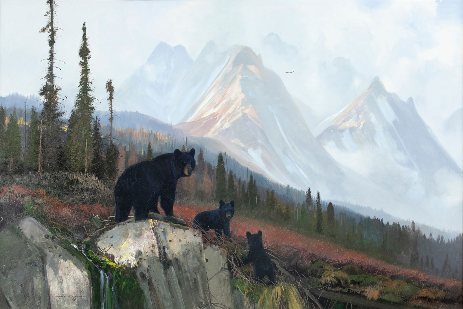 Michael Coleman (b. 1946), Black Bears in the Tetons: Michael Coleman (b. 1946) Black Bears in the Tetons signed "Michael Coleman" lower left oil on board, 24 by 36 in. Michael Coleman spent his youth hunting, fishing, and trapping throughout the Rocky M