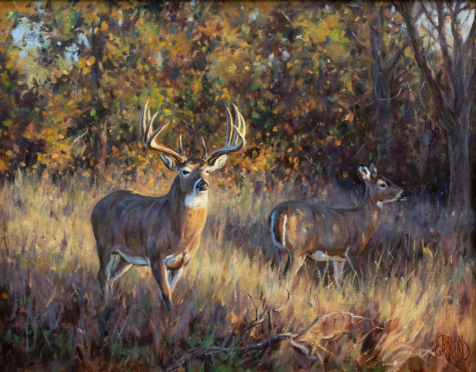 Brian Grimm (b. 1968), The Rise of Autumn - Whitetail Deer: Brian Grimm (b. 1968) The Rise of Autumn - Whitetail Deer signed "Brian Grimm" lower right oil on board, 16 by 20 in. "A stately whitetail buck asserts his presence in the autumn light to an approachi