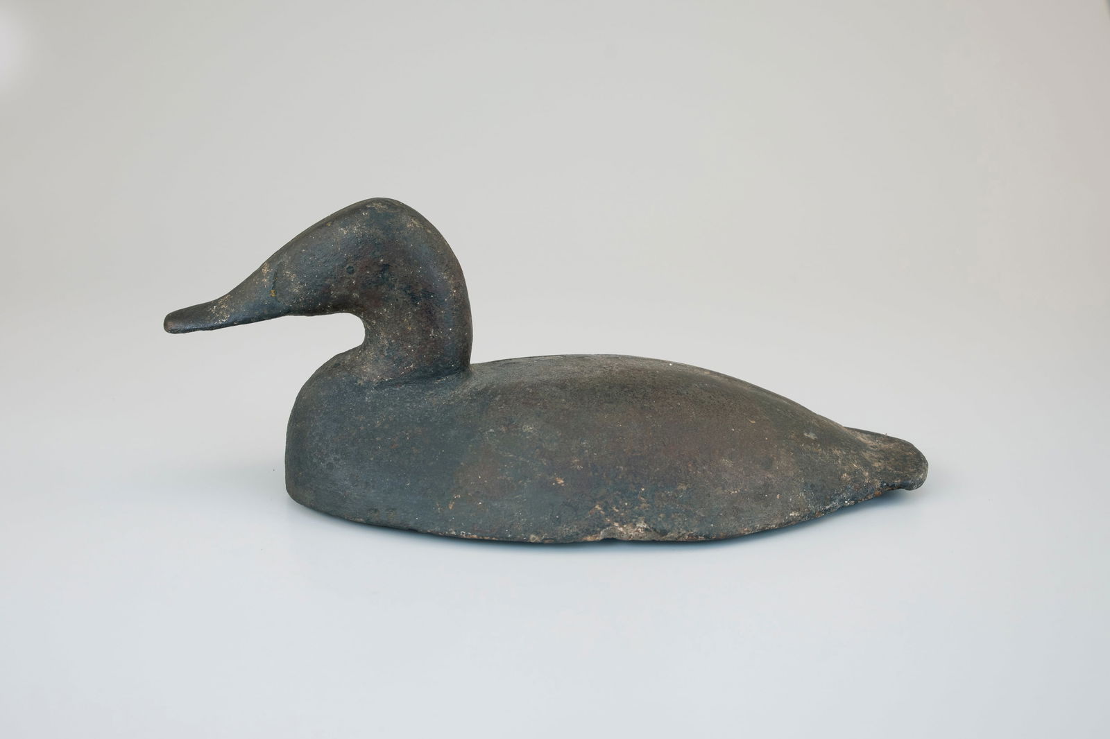 O'Brien Canvasback Wing Duck attributed to William Heverin (1860-1951) (1 of 5)