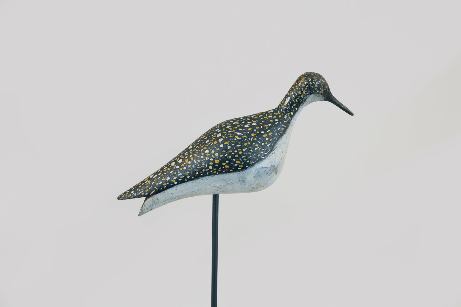 Golden Plover - 2