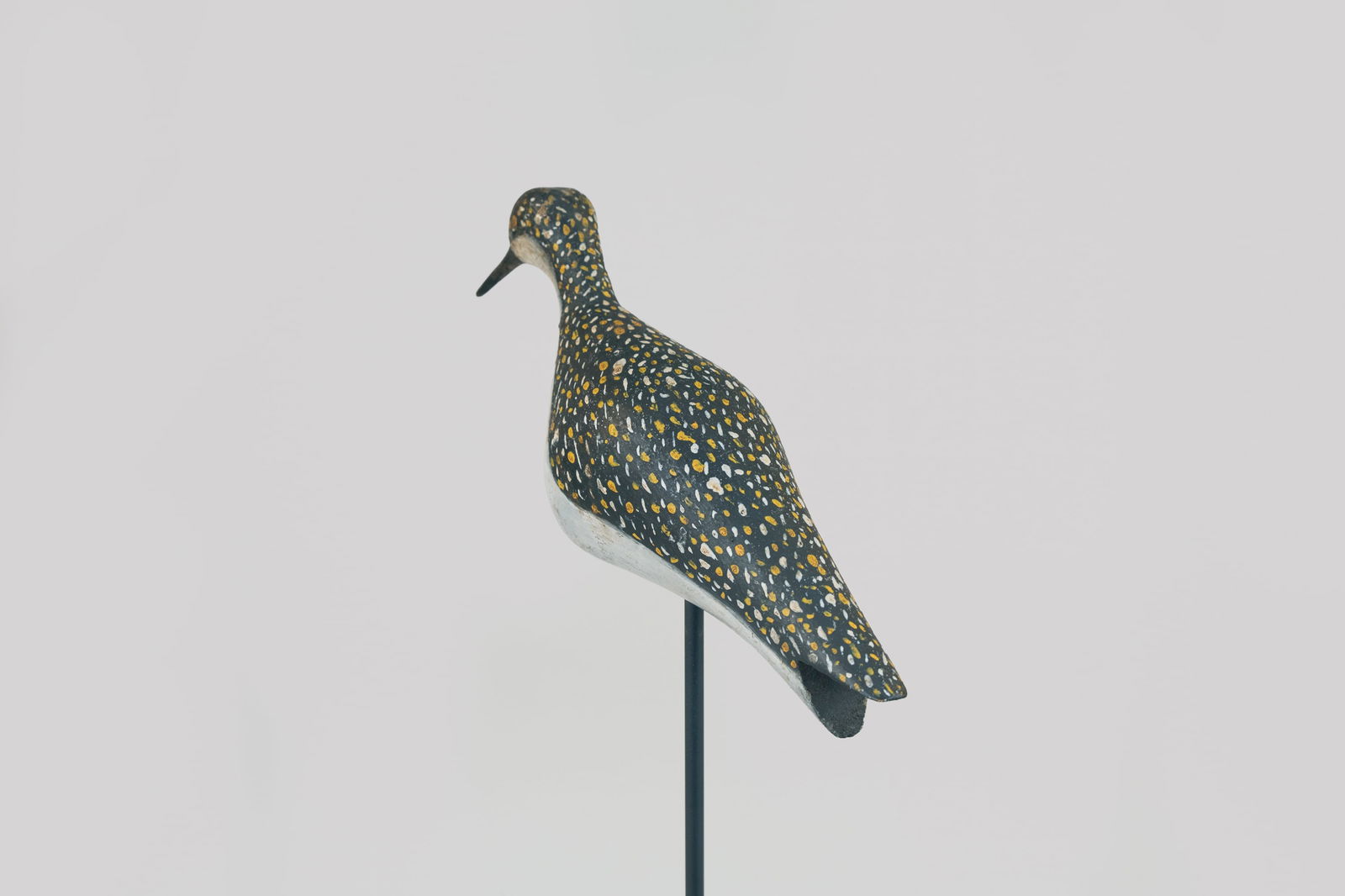 Golden Plover - 3