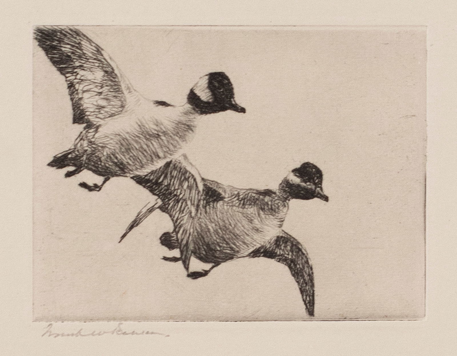 Frank W. Benson (1862-1951), Flying Bufflehead (1 of 2)